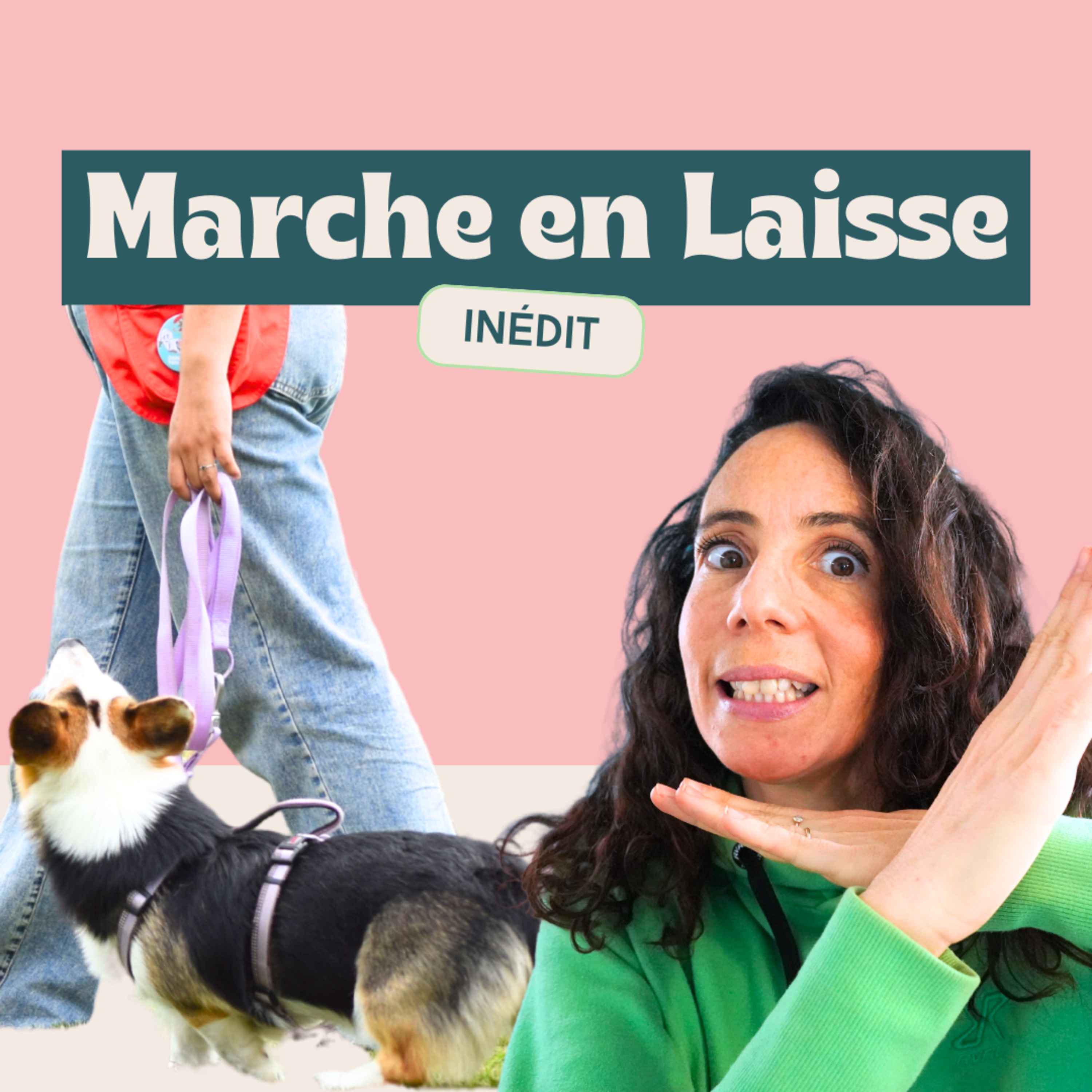 Danse avec ton chien - Méthodes positives et scientifiques