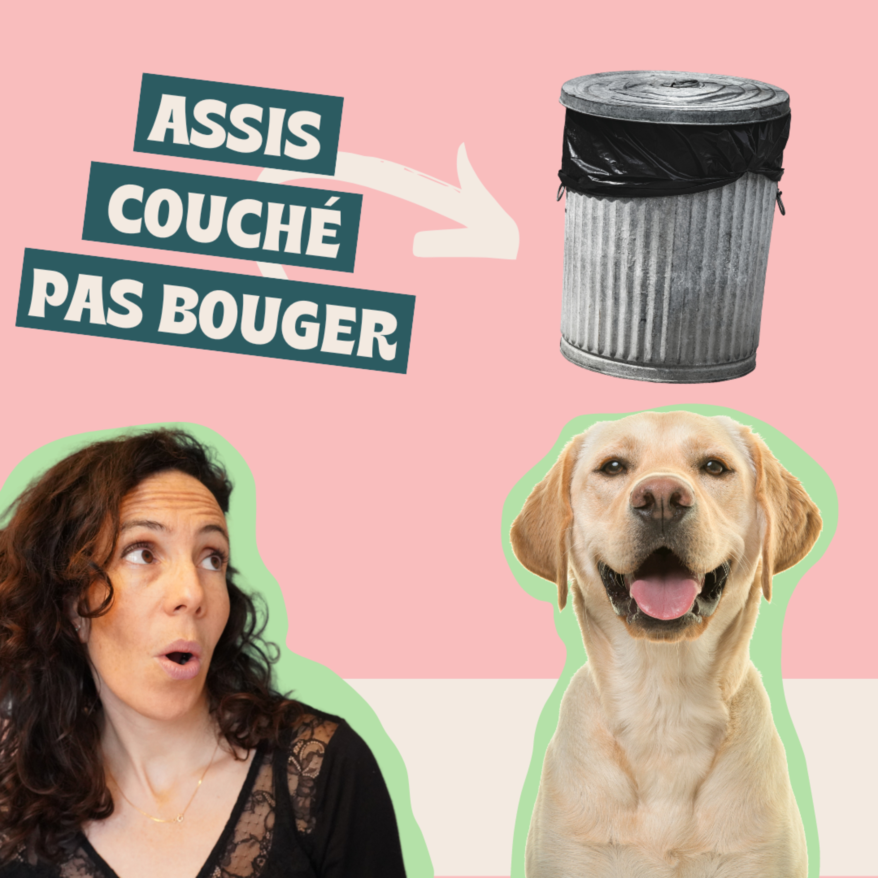 Danse avec ton chien - Méthodes positives et scientifiques