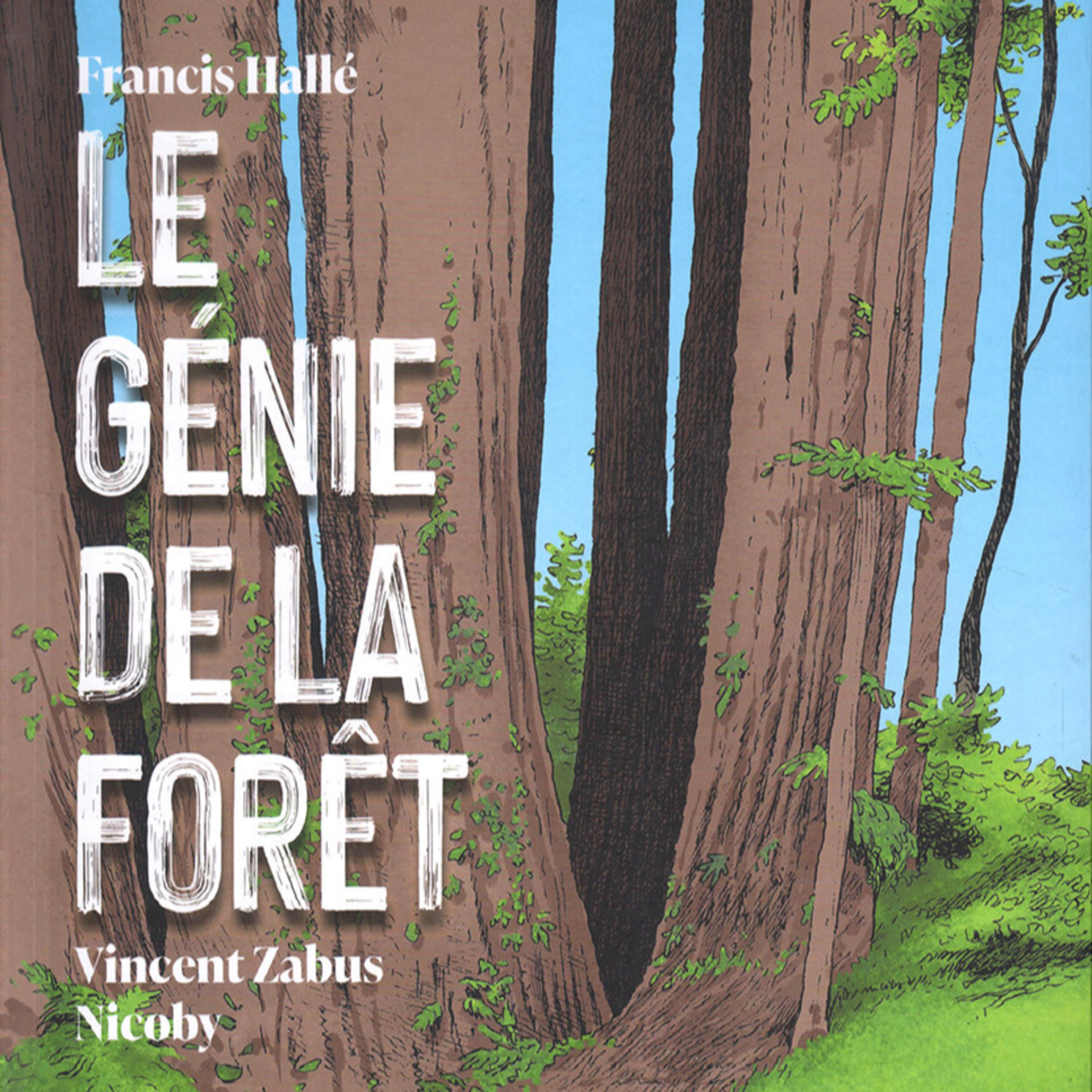 Le génie de la forêt episode artwork