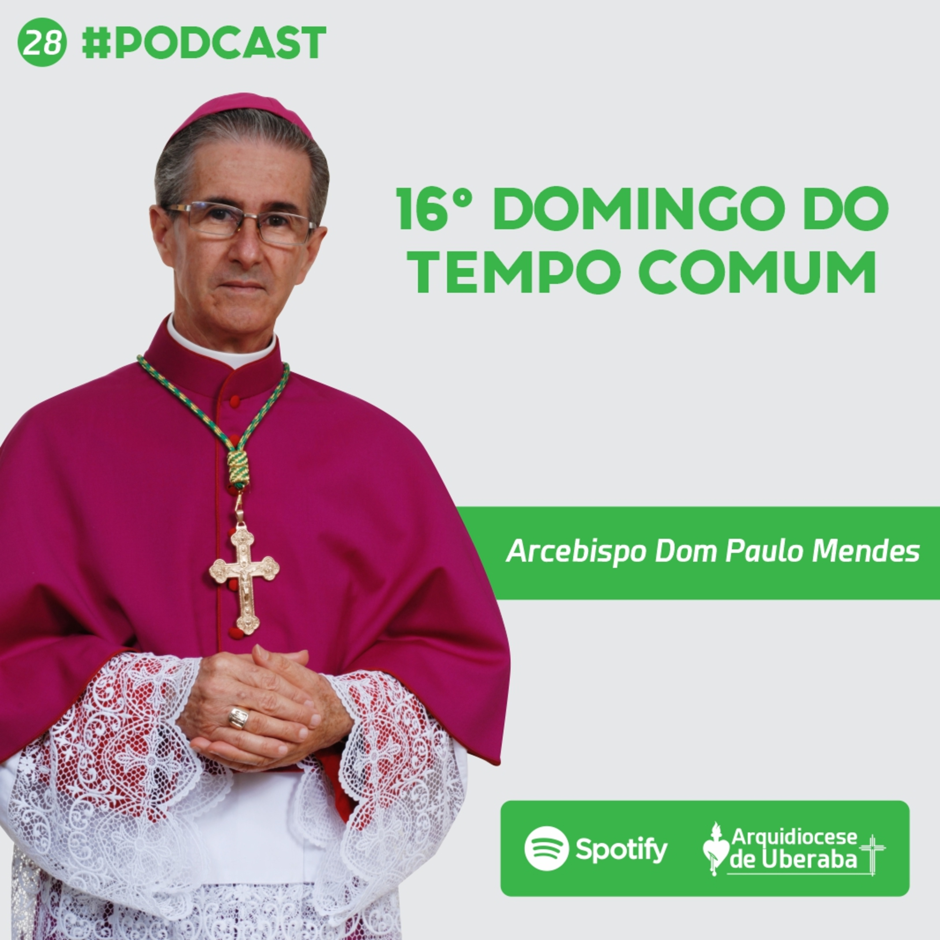 Dom Paulo #28 - 16º Domingo do Tempo Comum 23/07/2023 episode artwork