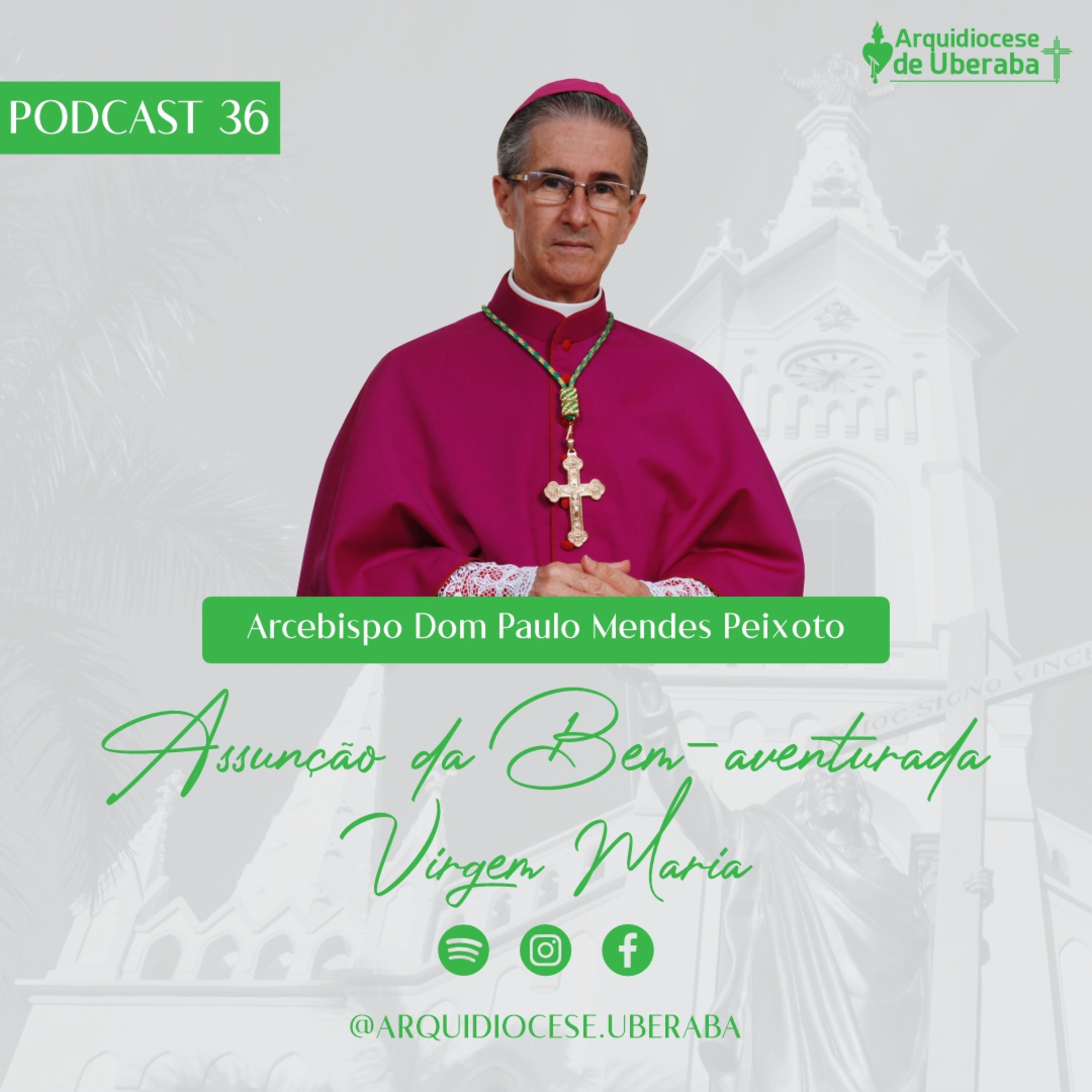 Dom Paulo #36 - Assunção da Bem-aventurada Virgem Maria - 18/08/24 episode artwork
