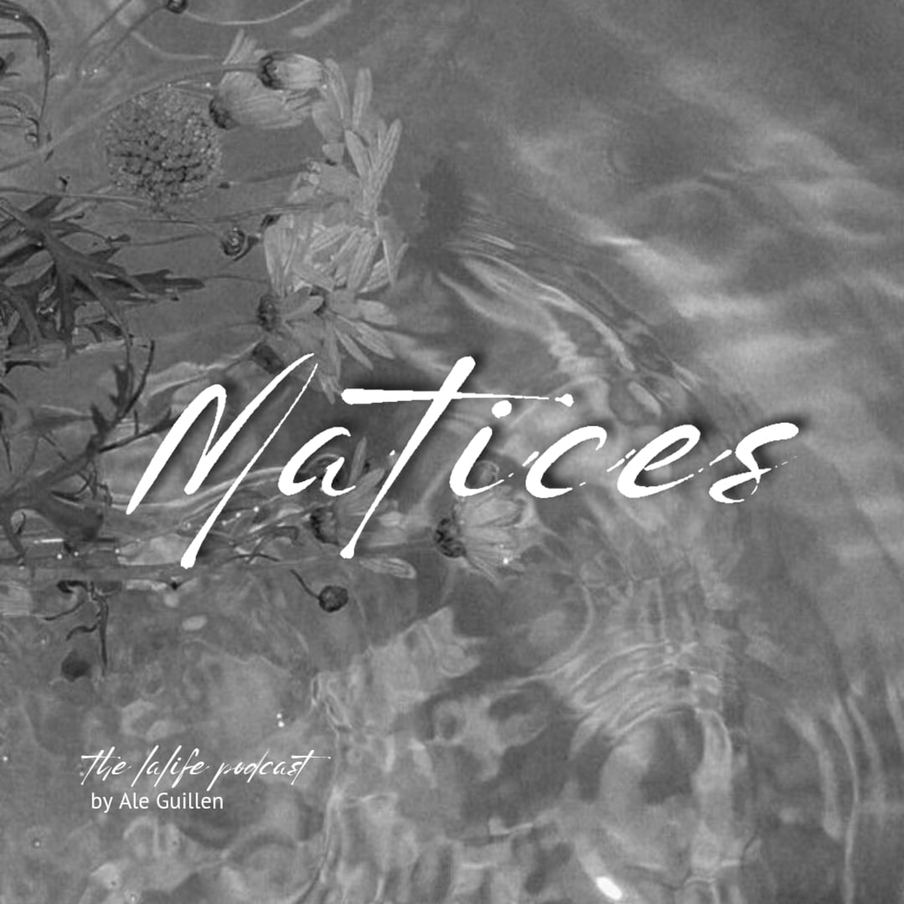 Matices