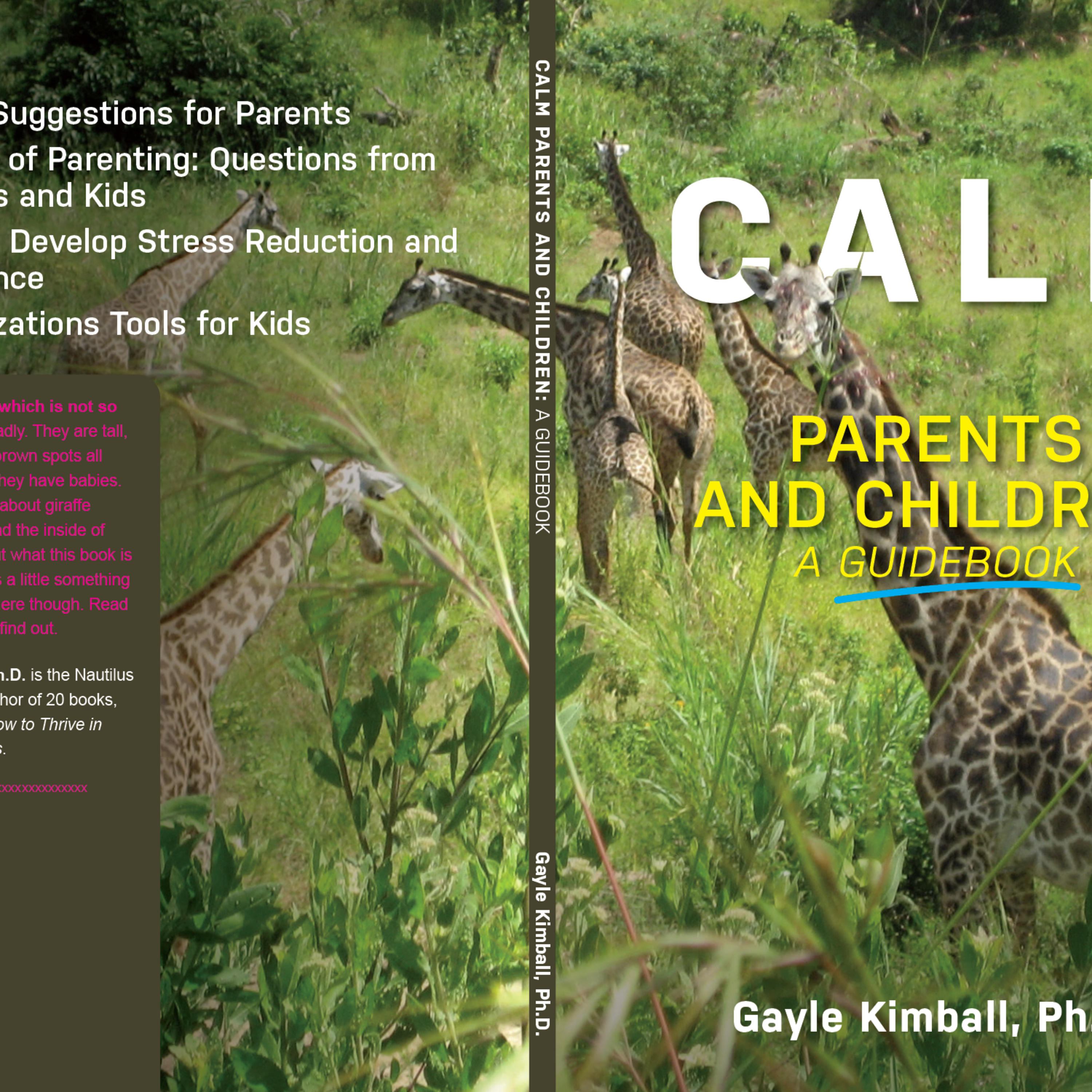 Interviews with changemakers by Gayle Kimball