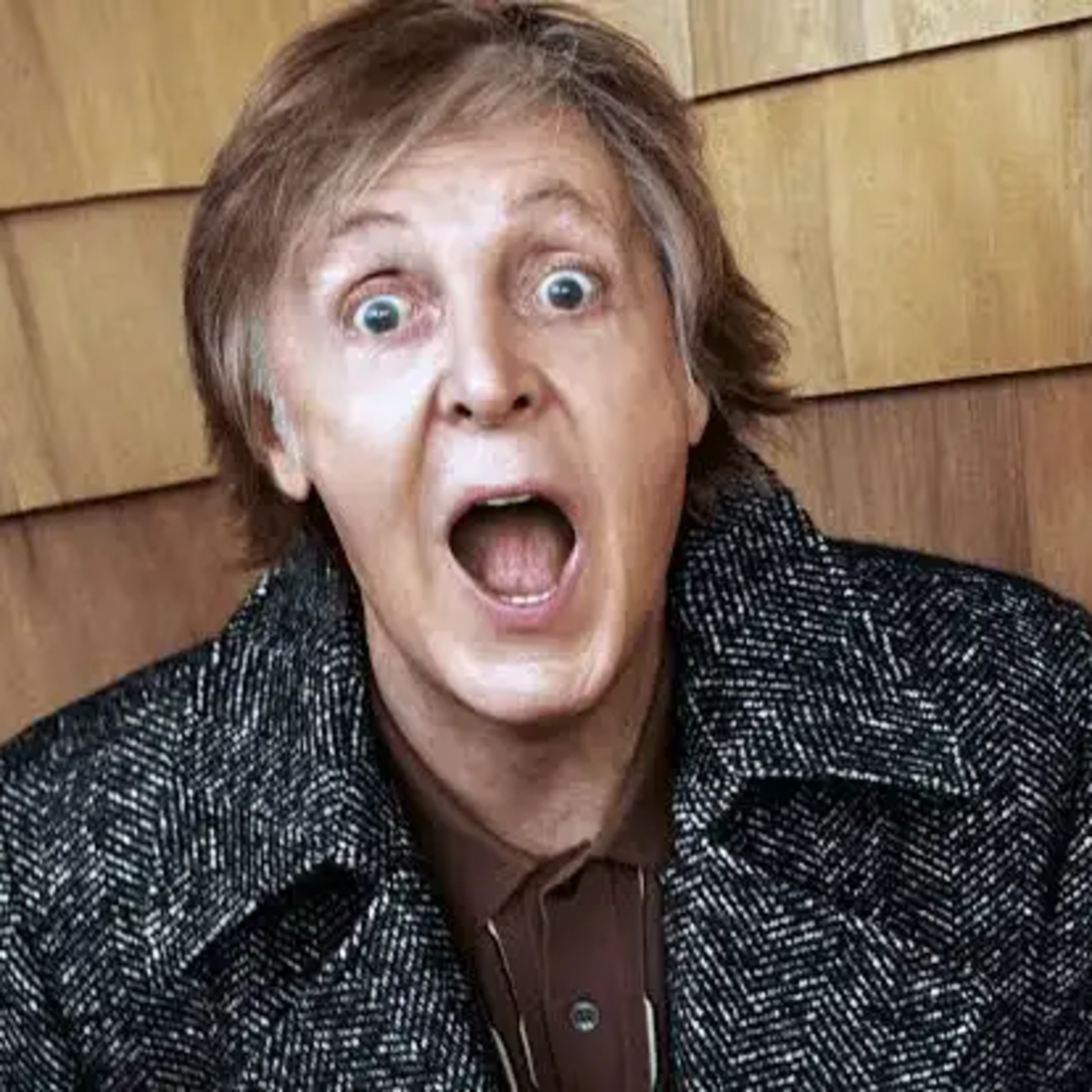 Paul Mc Cartney contro le foto selfie insieme ai fan episode artwork