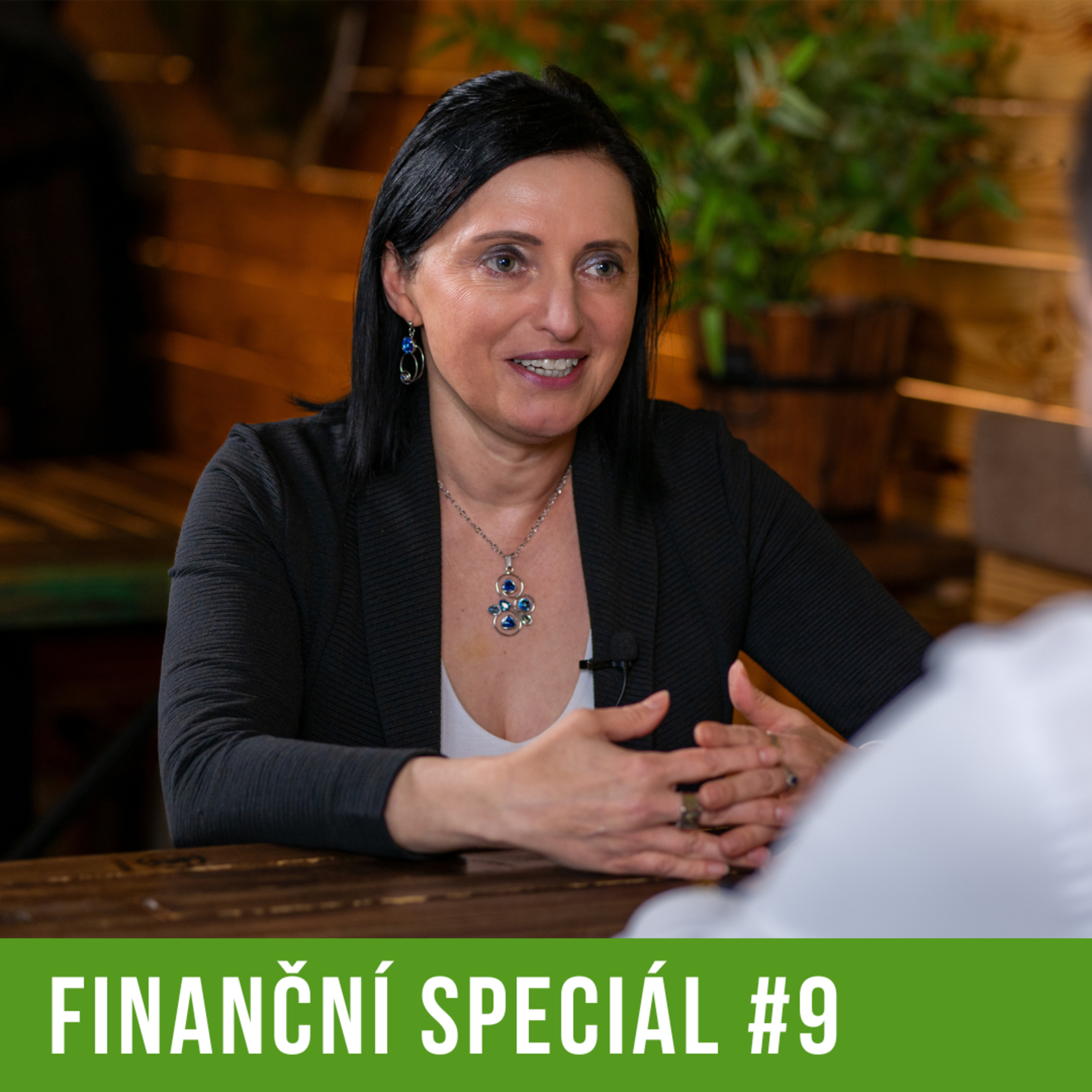Finanční speciál #9 - Kam investují zkušení investoři v roce 2024? episode artwork