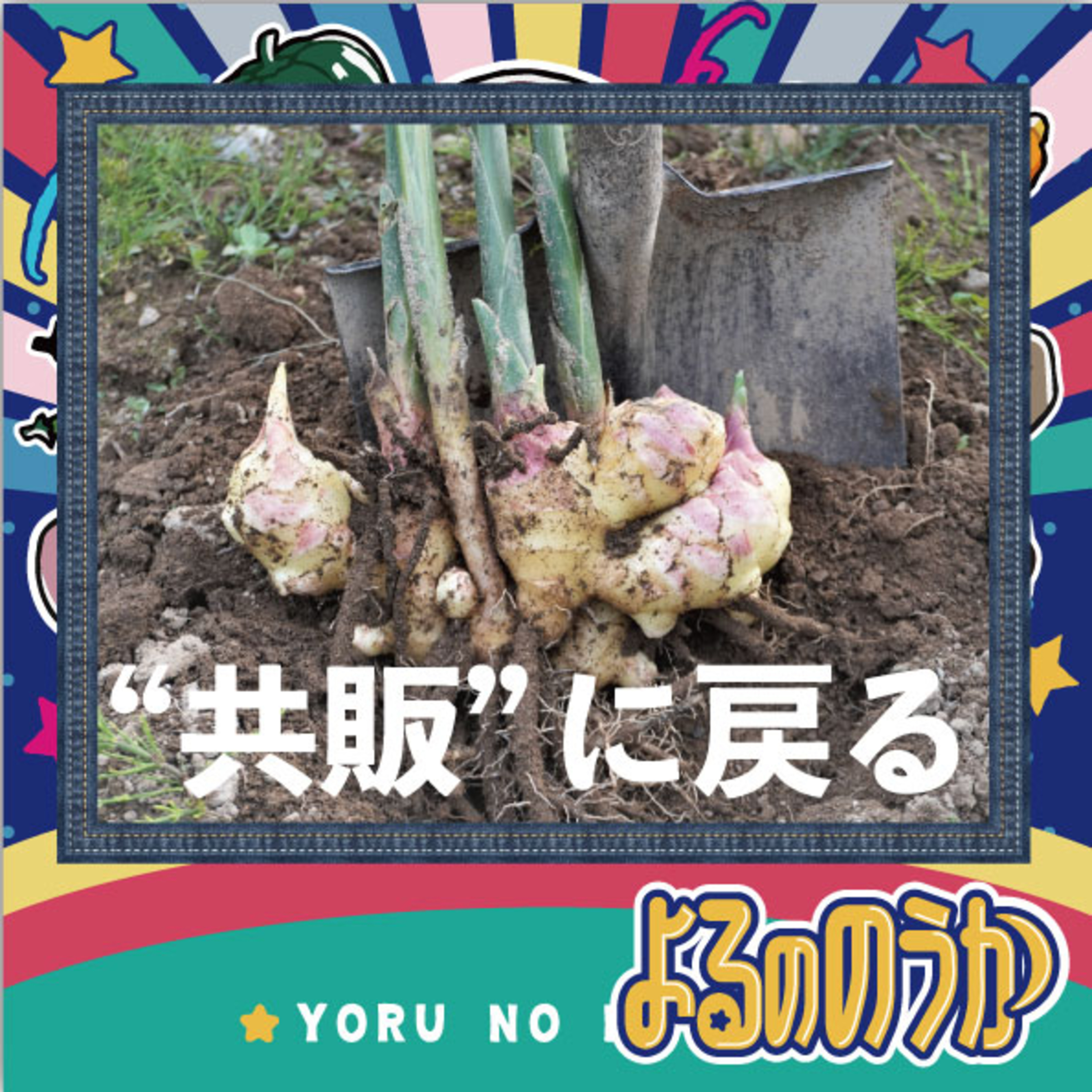 「共販」に戻るショウガ農家