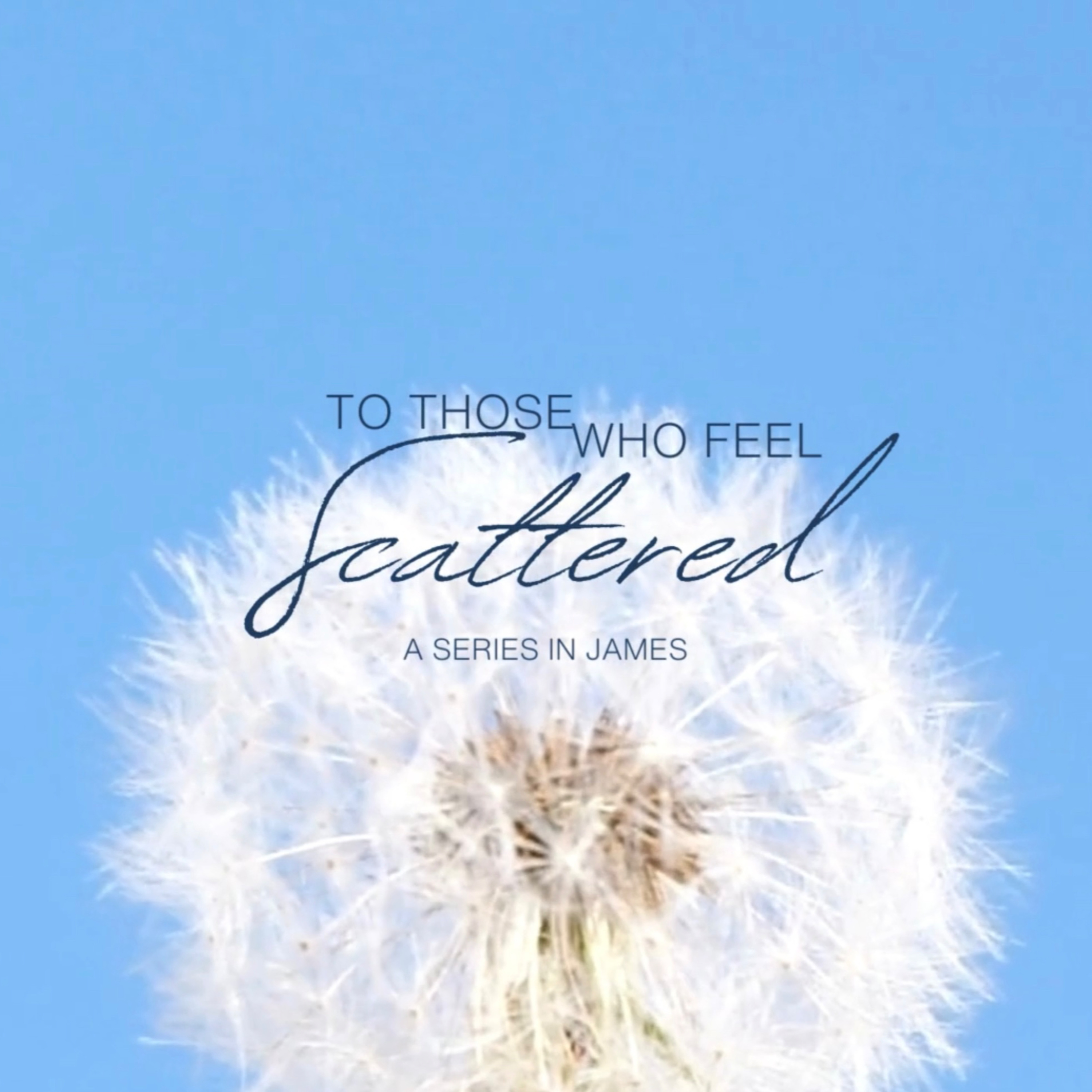 To Those Who Feel Scattered:::Simply Ask?! episode artwork