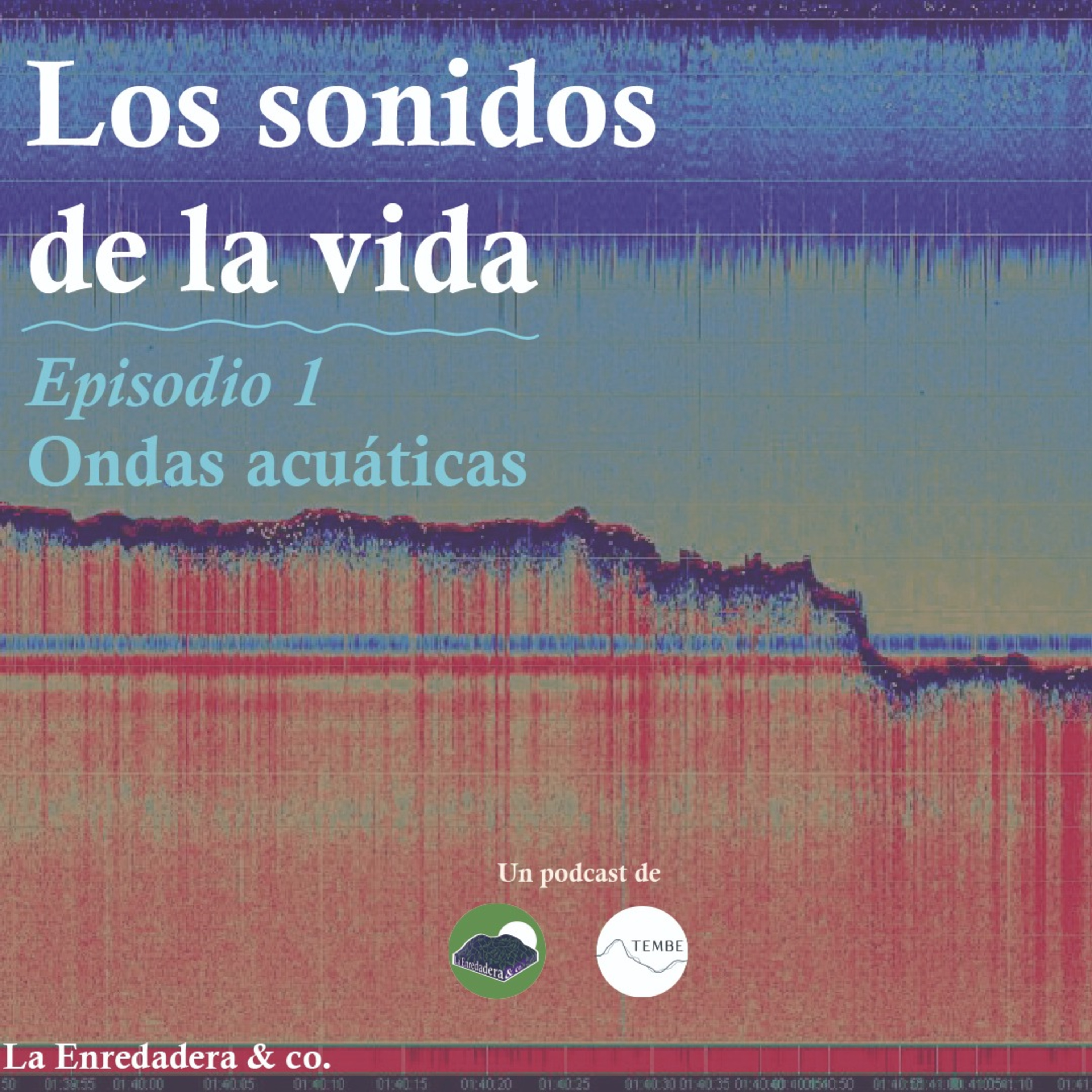La Enredadera & co.