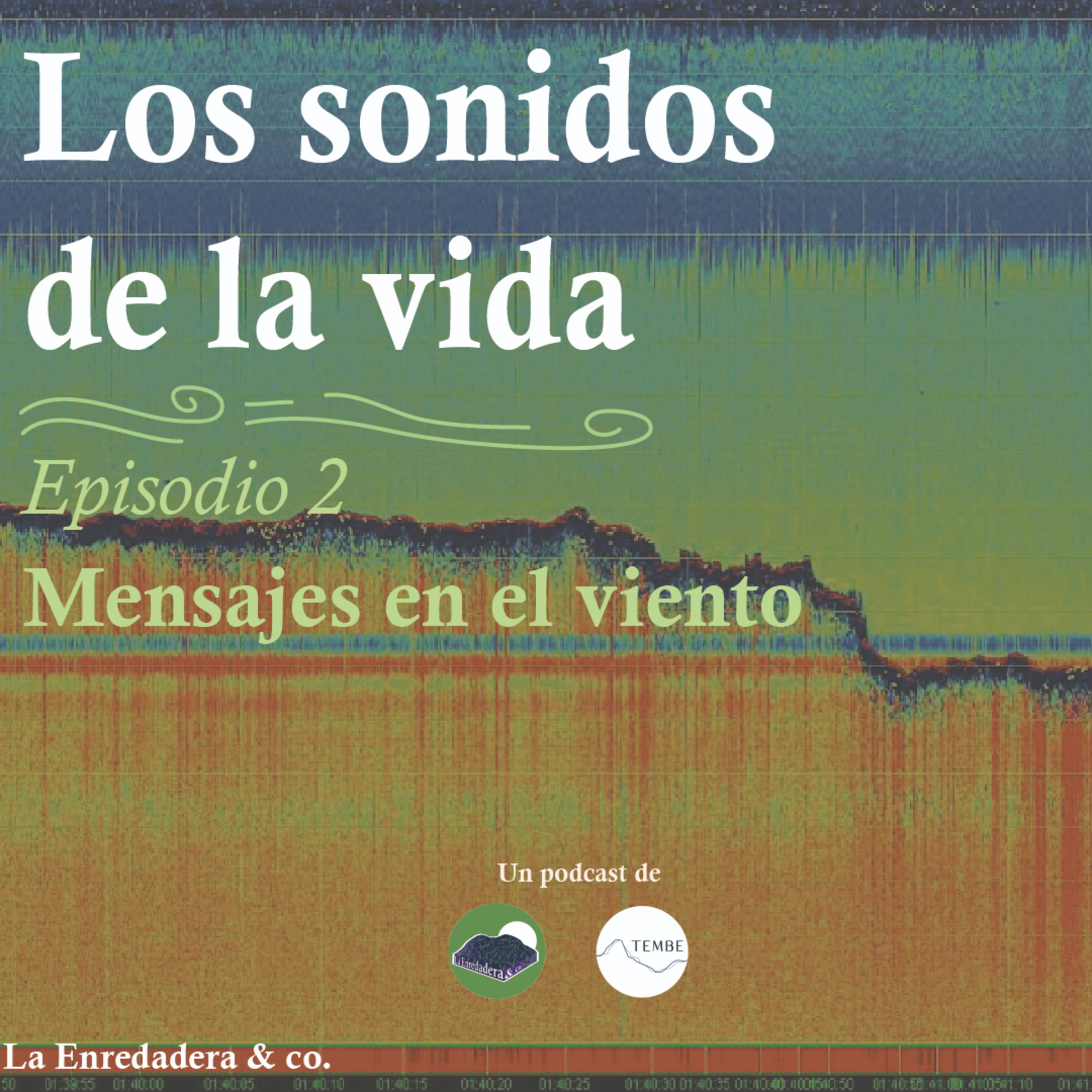 La Enredadera & co.