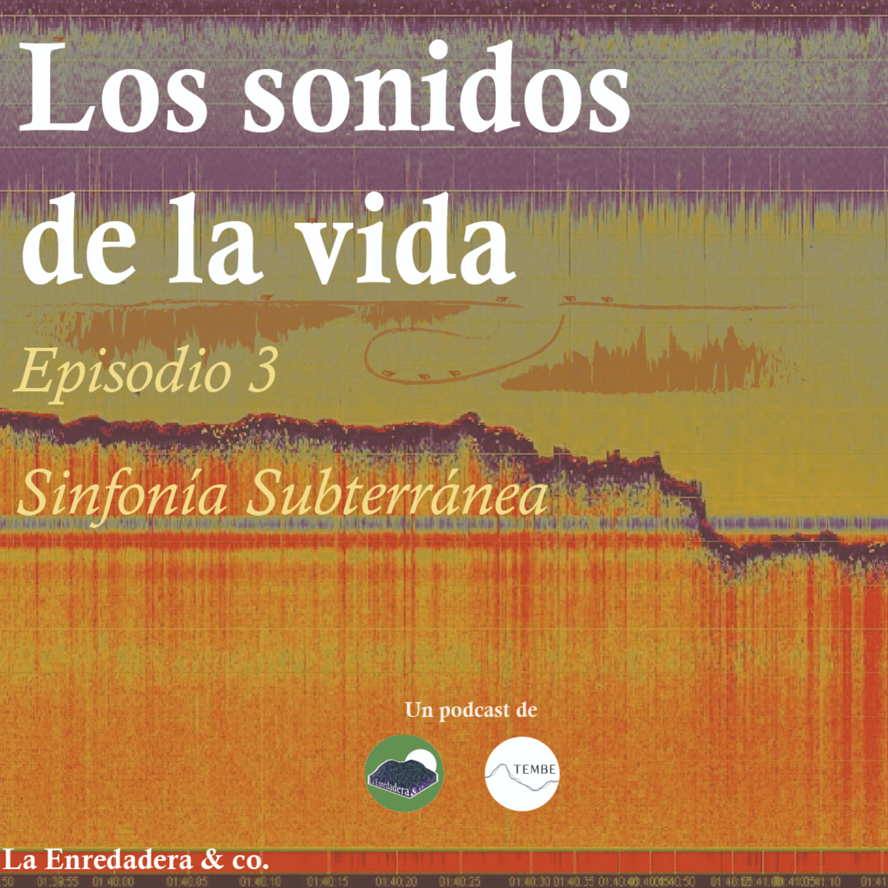 La Enredadera & co.