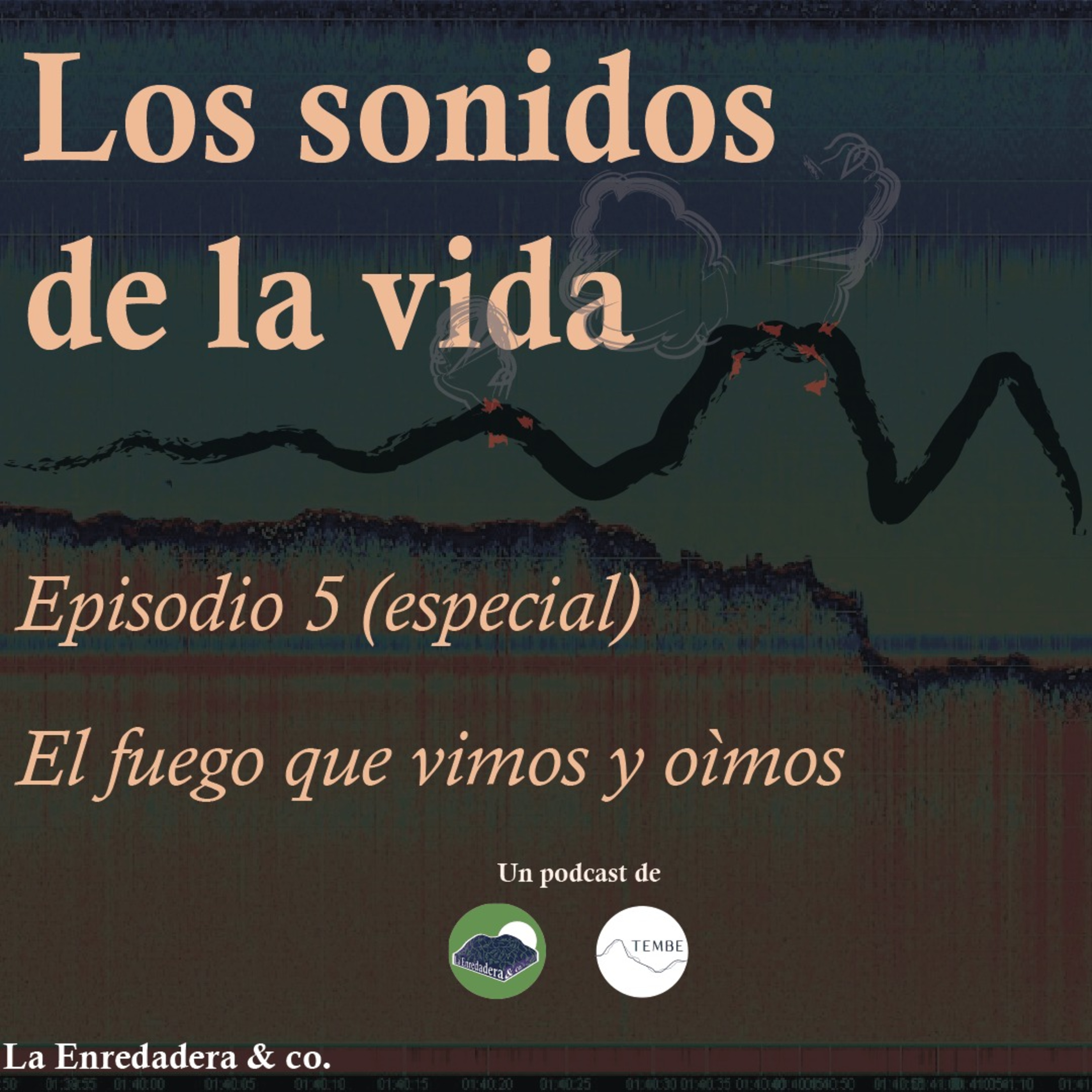 La Enredadera & co.