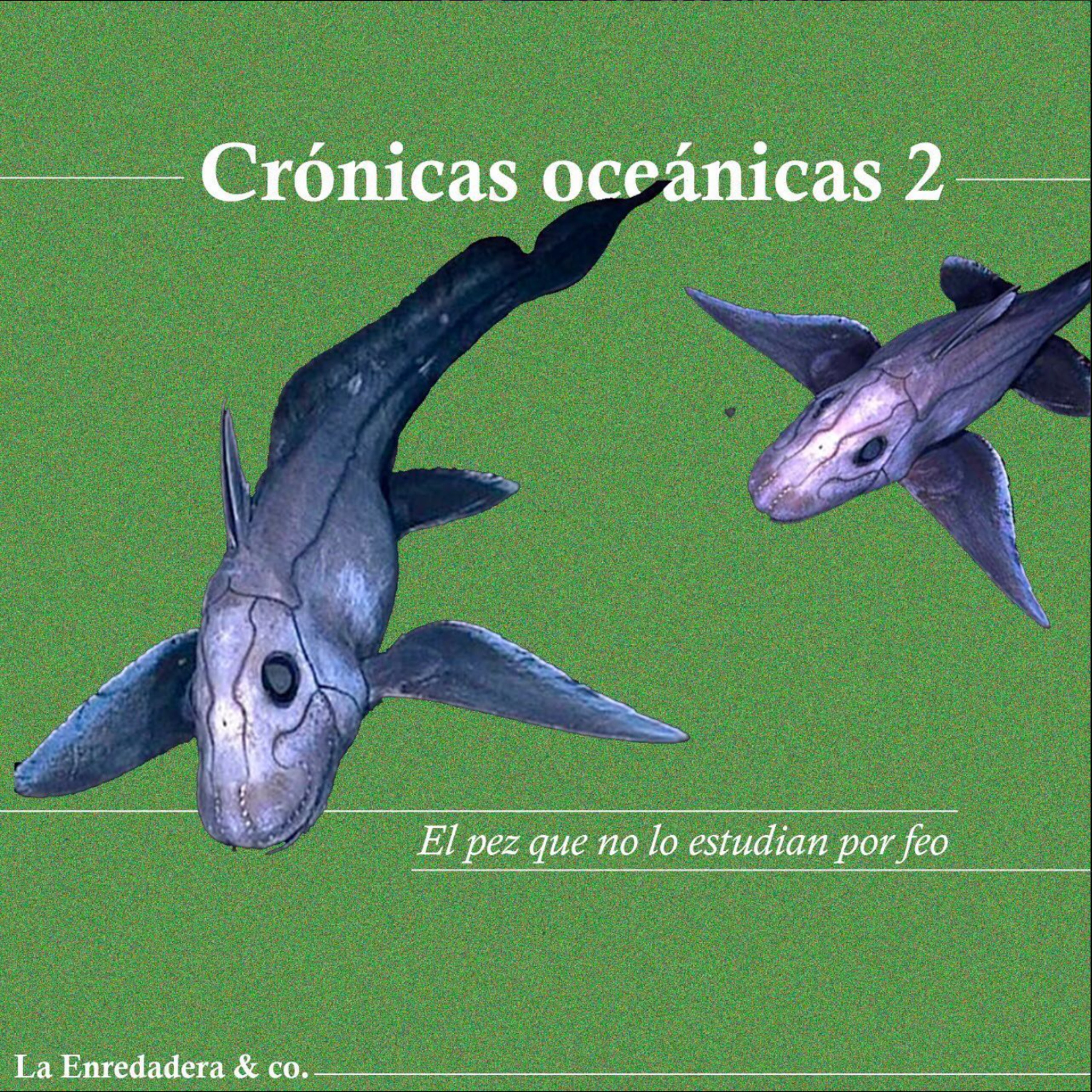 Crónicas oceánicas 2: El pez que no lo estudian por feo