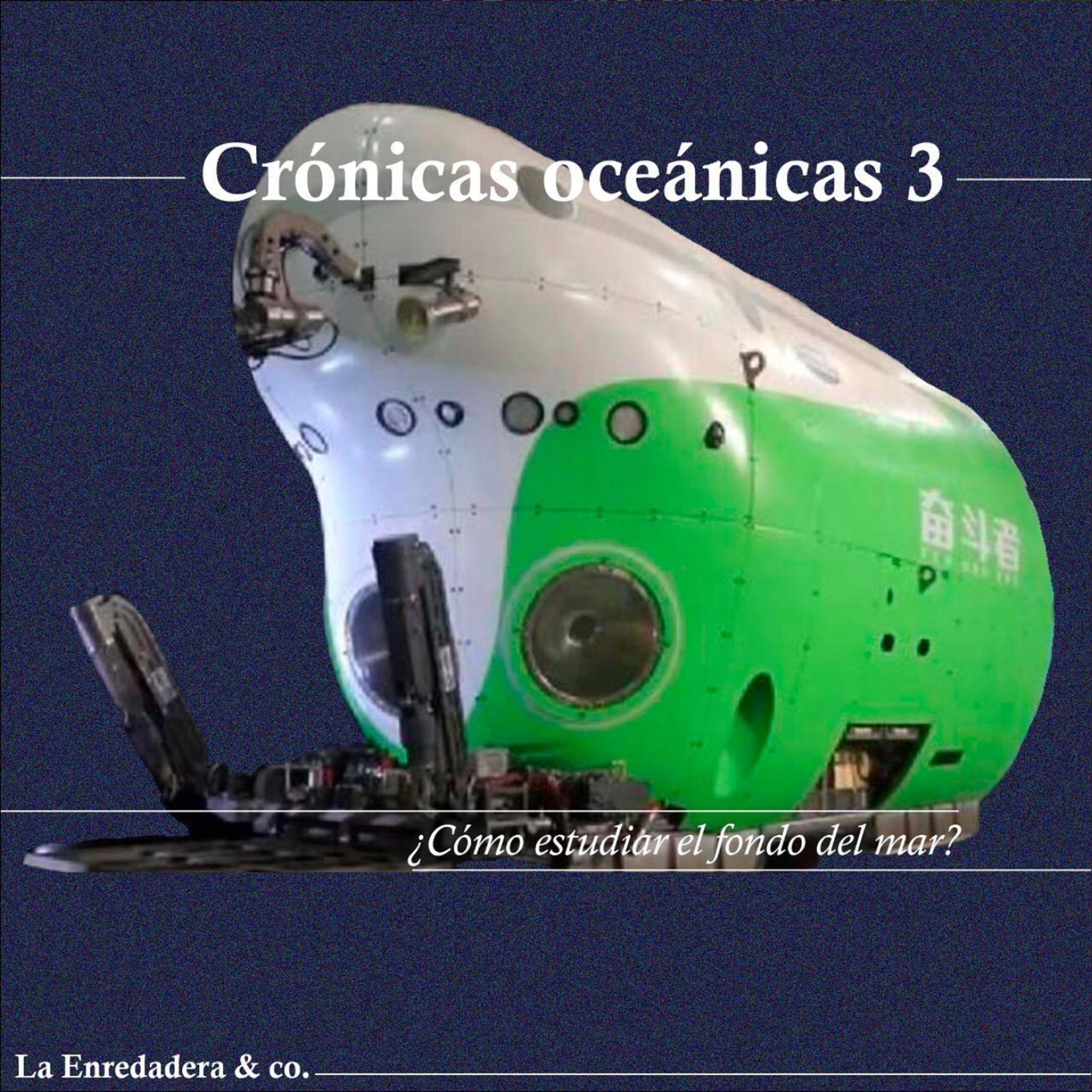 Portada de La Enredadera & co.