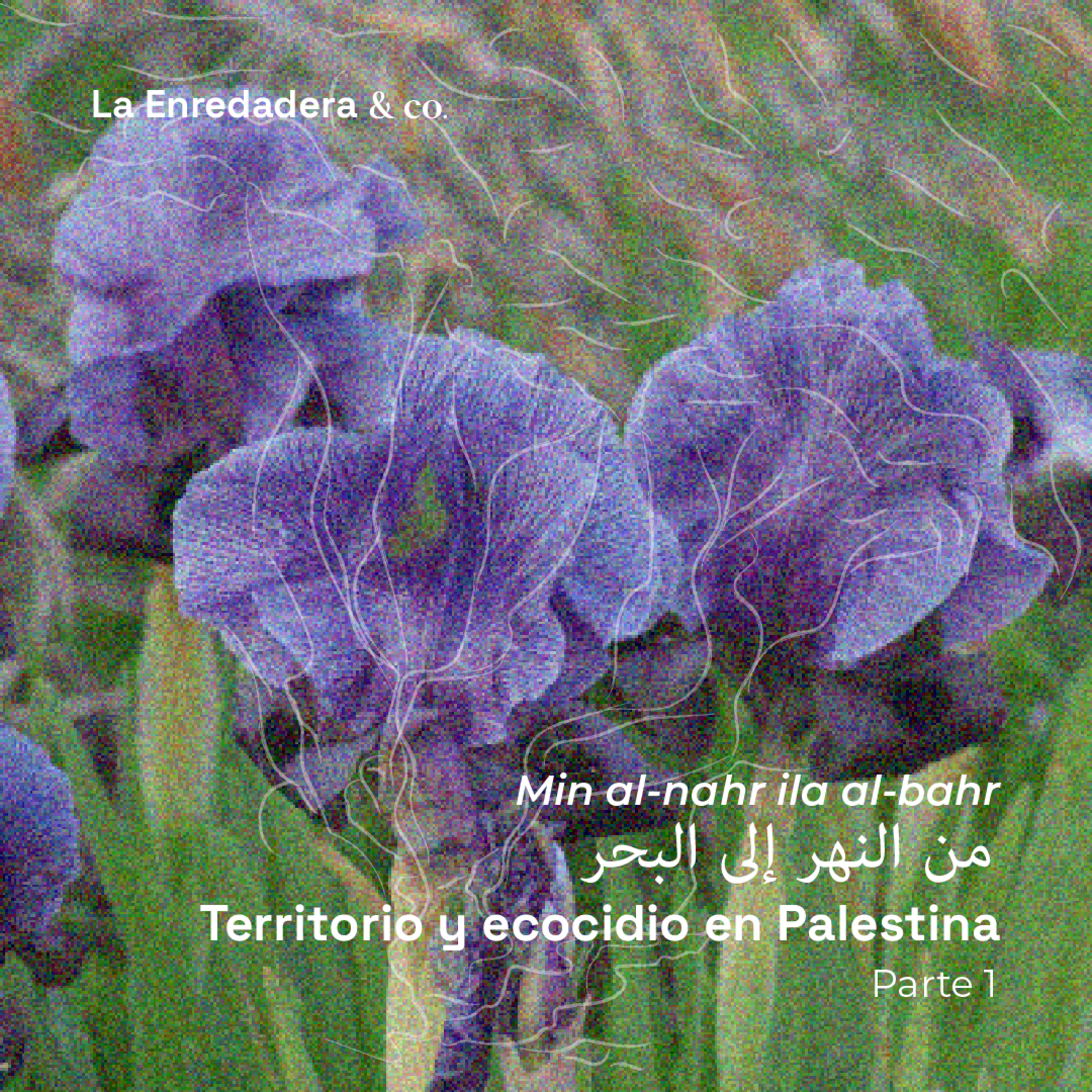 Min al-nahr ila al-bahr. Territorio y ecocidio en Palestina, Parte 1 episode artwork