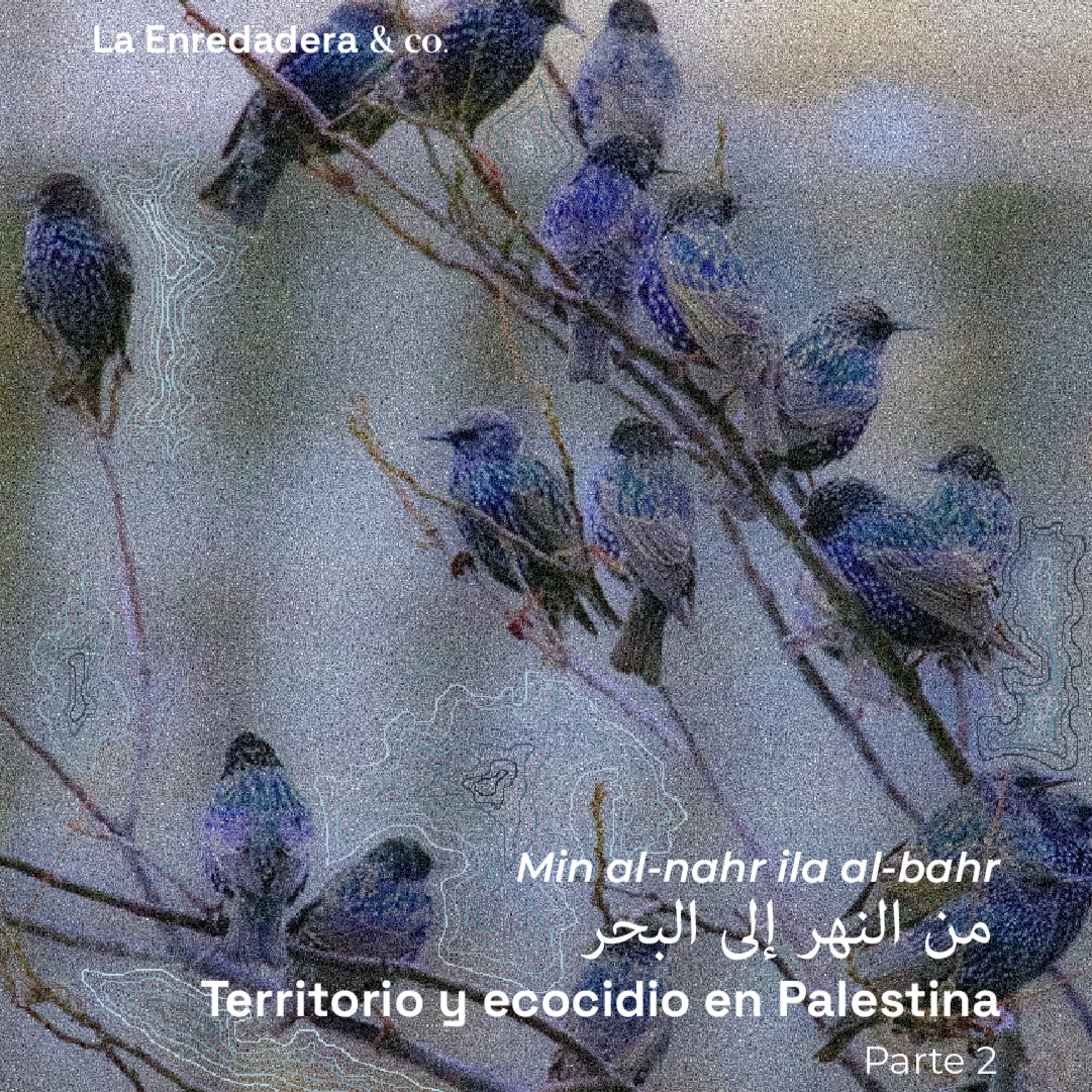 Min al-nahr ila al-bahr. Territorio y ecocidio en Palestina, Parte 2 episode artwork