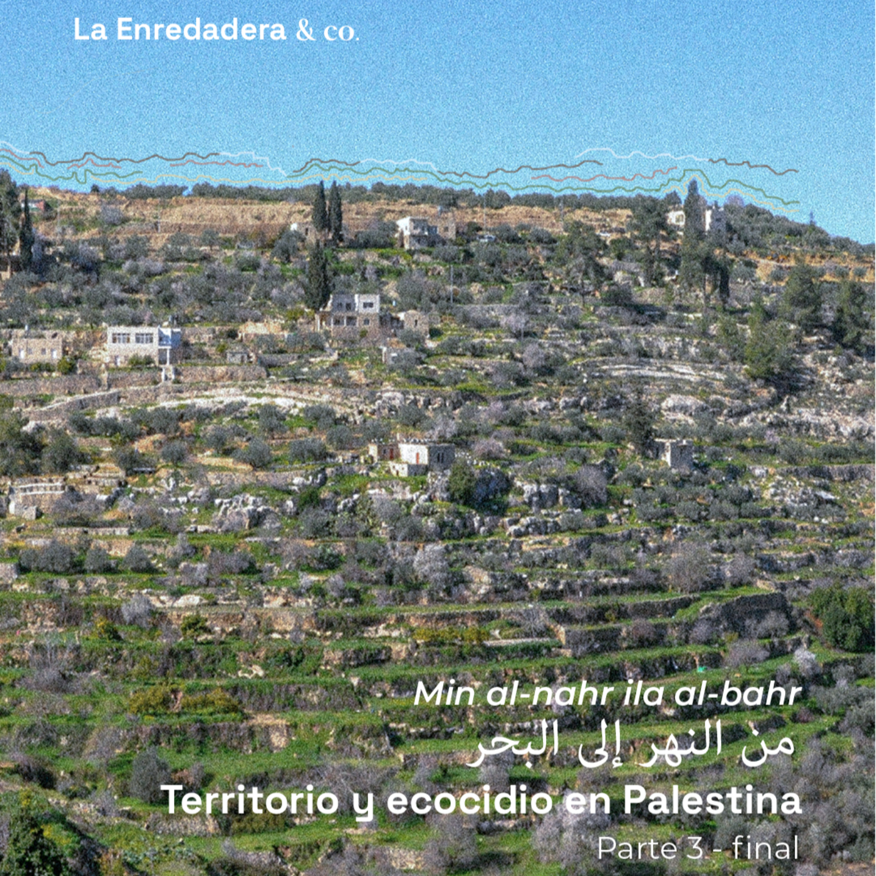 Min al-nahr ila al-bahr. Territorio y ecocidio en Palestina, Parte 3 episode artwork