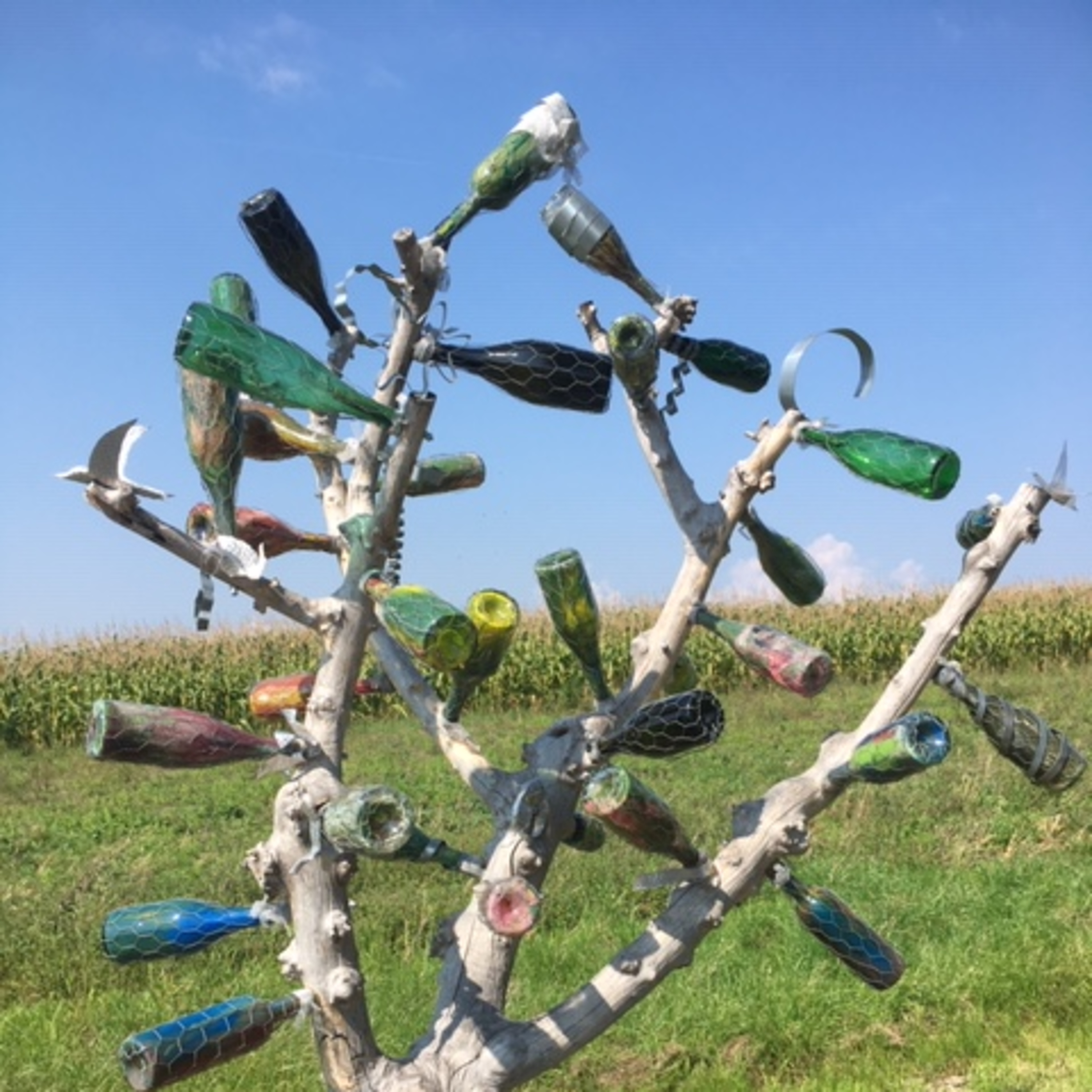 15. Eating, Drinking and Running in Spanish