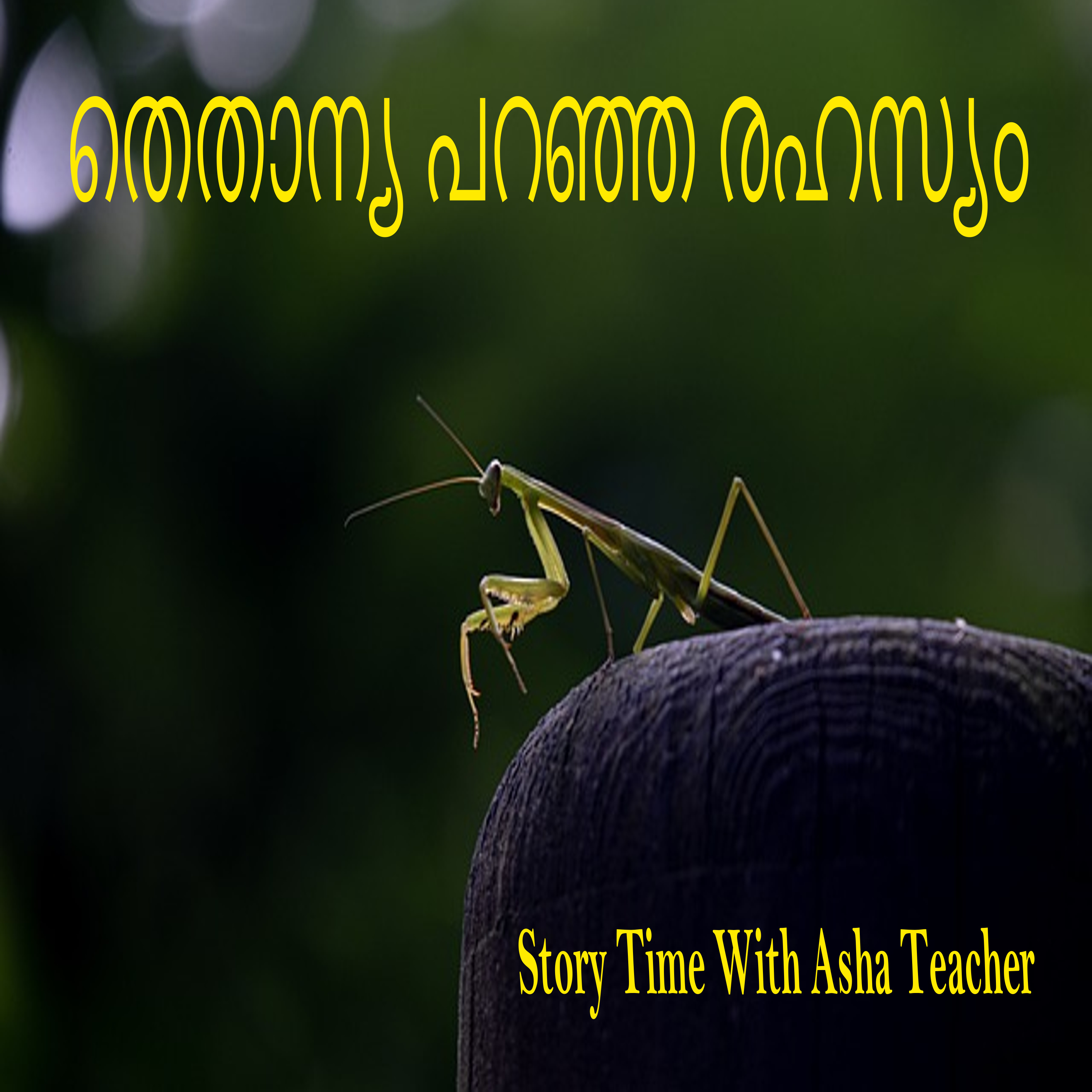 281 | Thethanya and a Secret | A Russian Folk Tale in Malayalam episode artwork