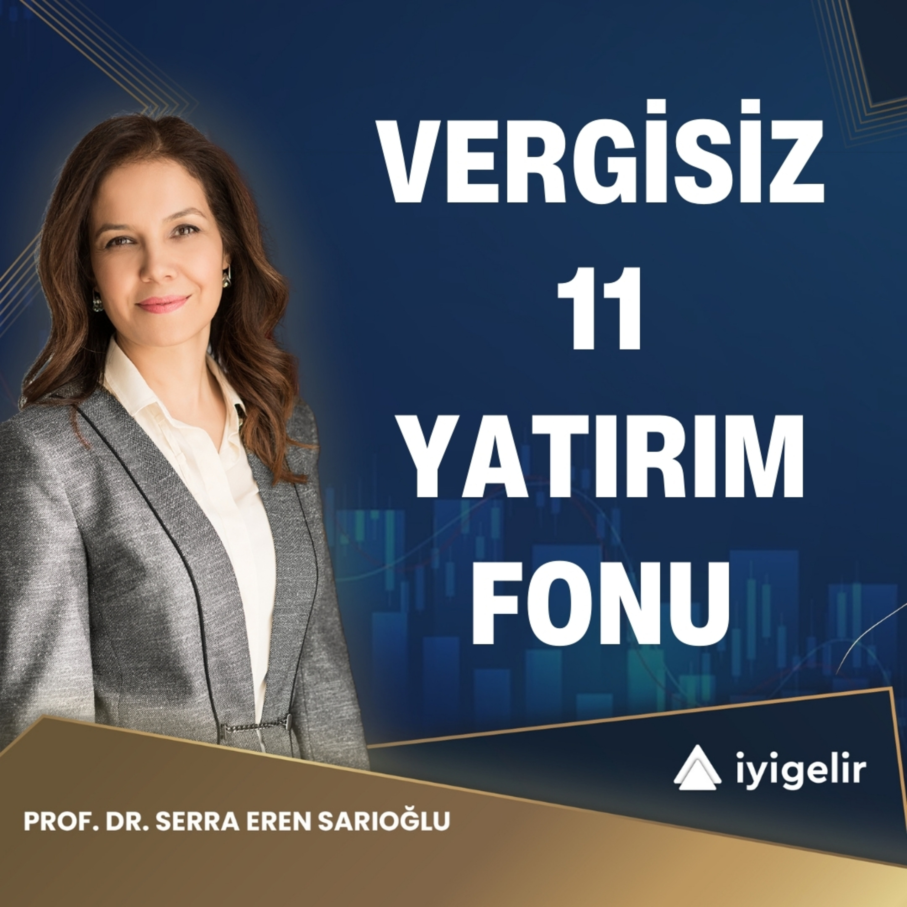 Vergisiz 11 Yatırım Fonu episode artwork