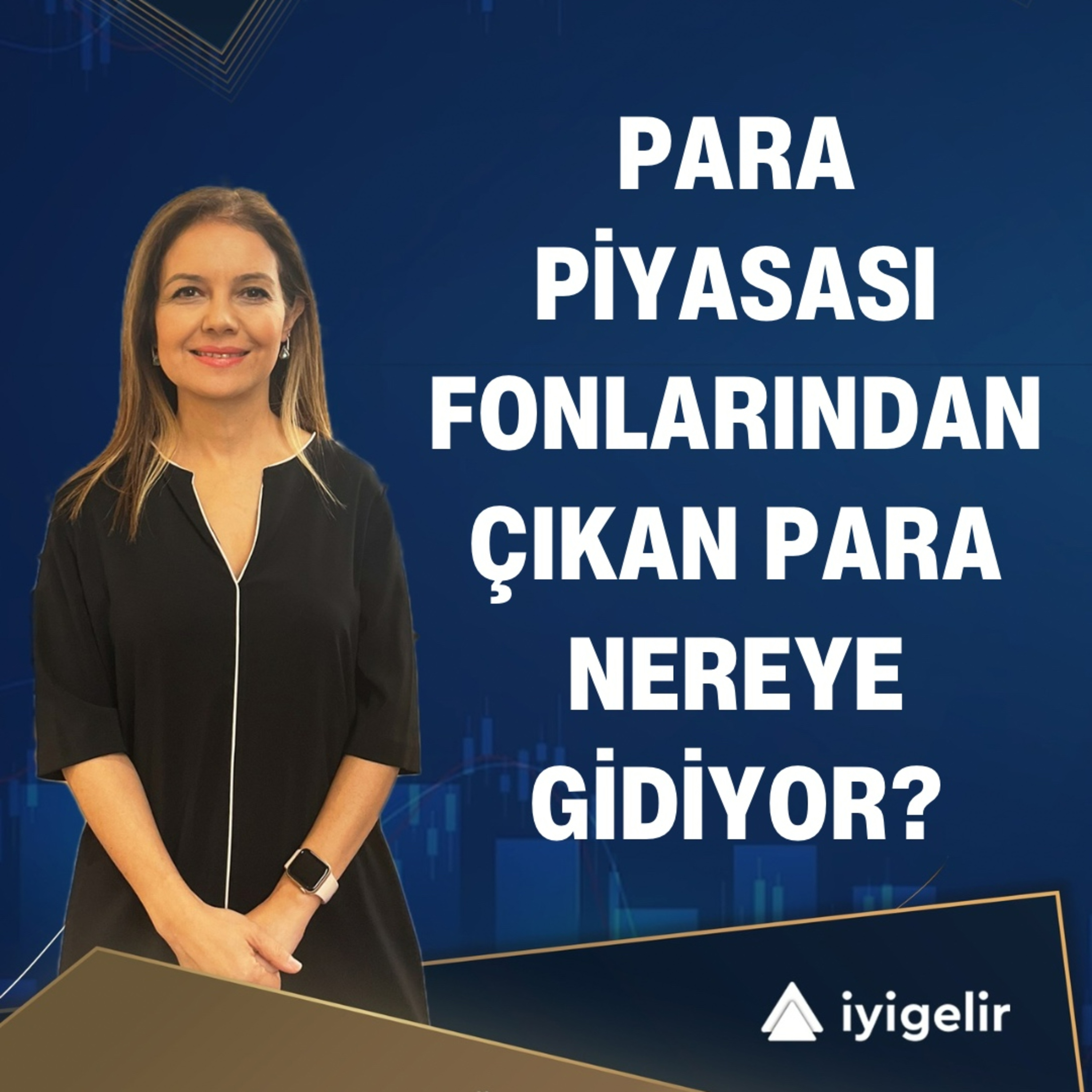  Para Piyasası Fonlarından Çıkan Para Nereye Gidiyor? episode artwork