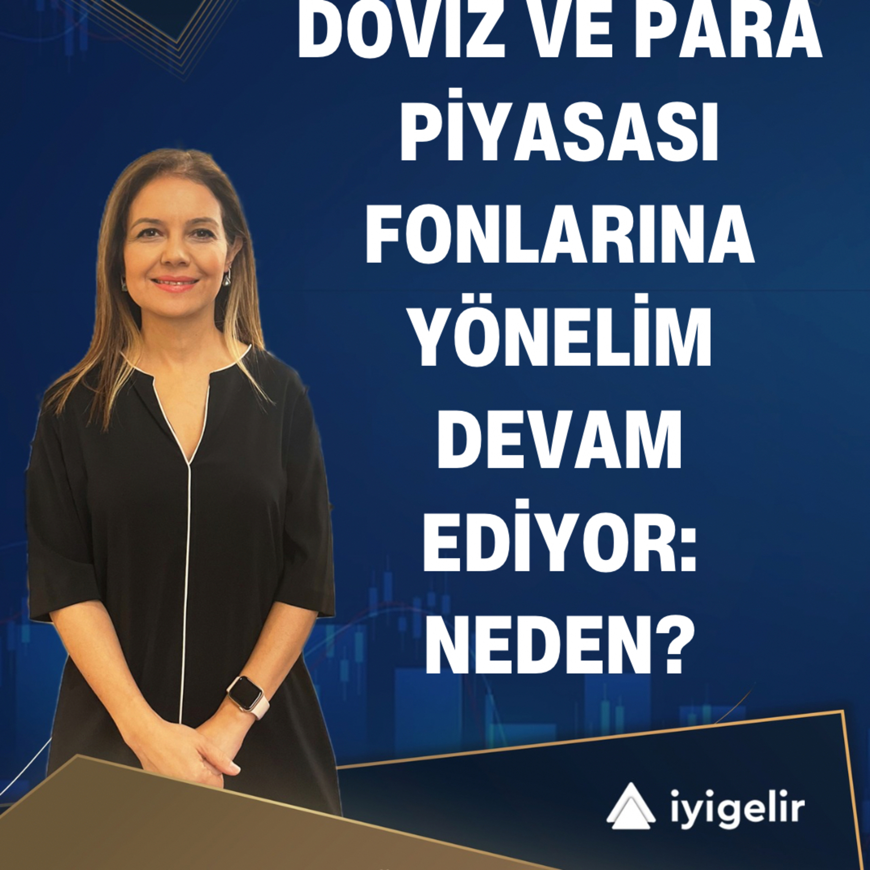 Döviz ve Para Piyasası Fonlarına Yönelim Devam Ediyor: Neden? episode artwork