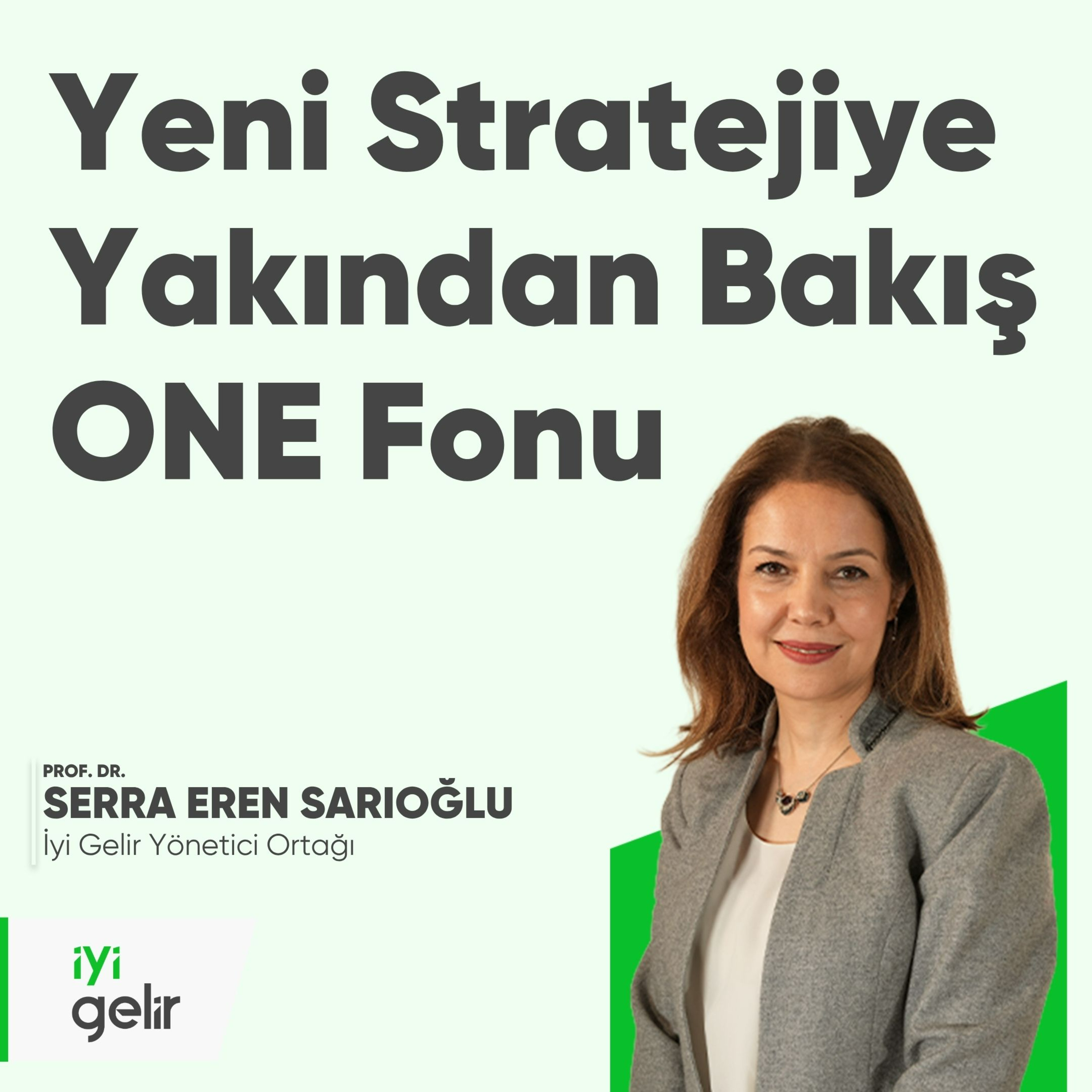 Yeni Stratejiye Yakından Bakış ONE Fonu