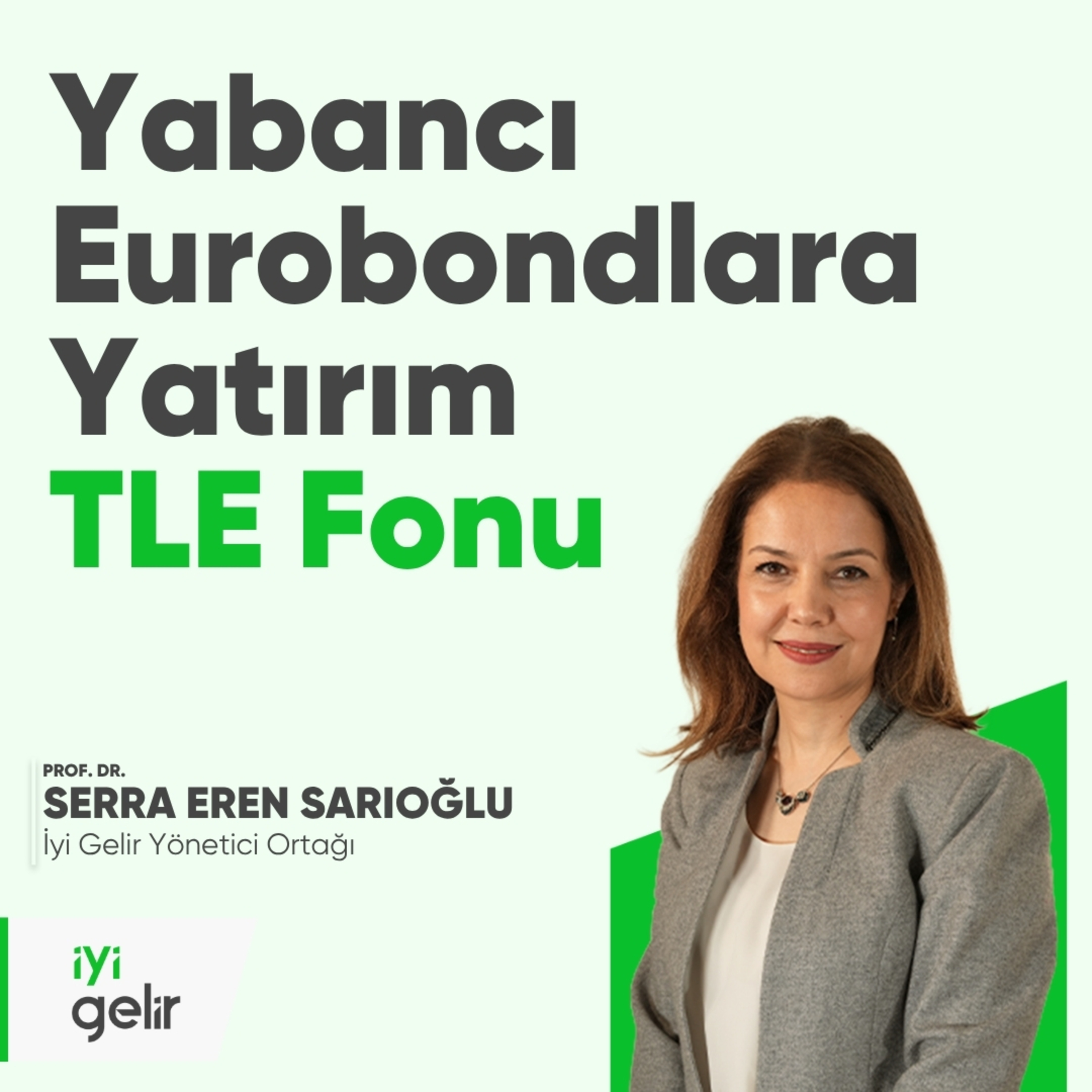 Yabancı Eurobondlara Yatırım - TLE Fonu