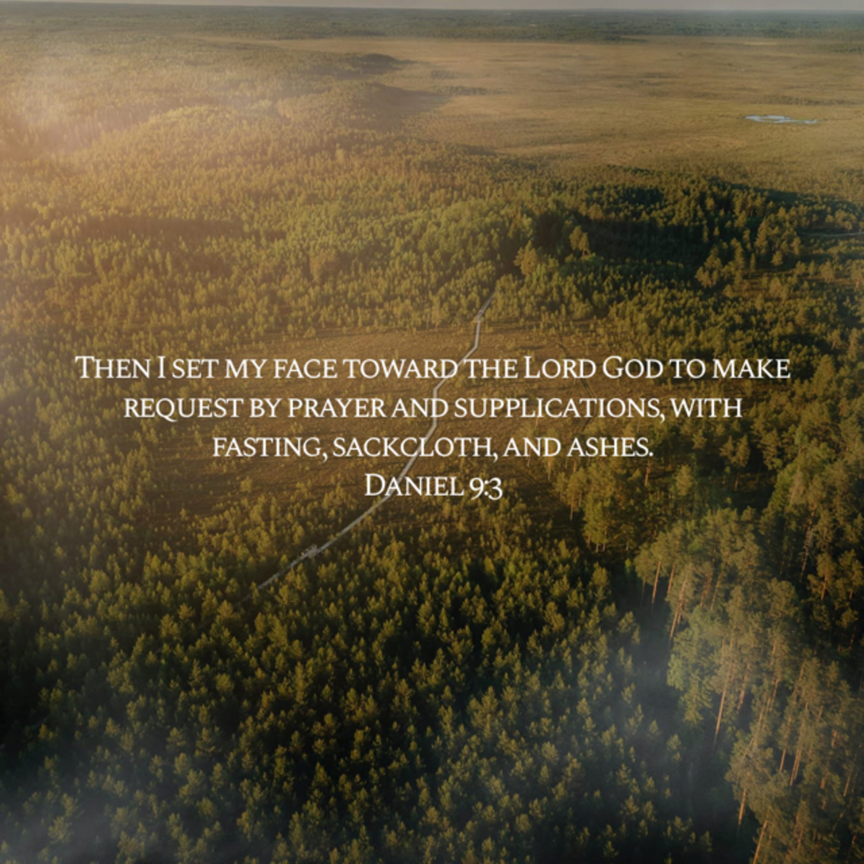 Prayer and Fasting E.6 - The Salvationist at Prayer by Fred Brown episode artwork