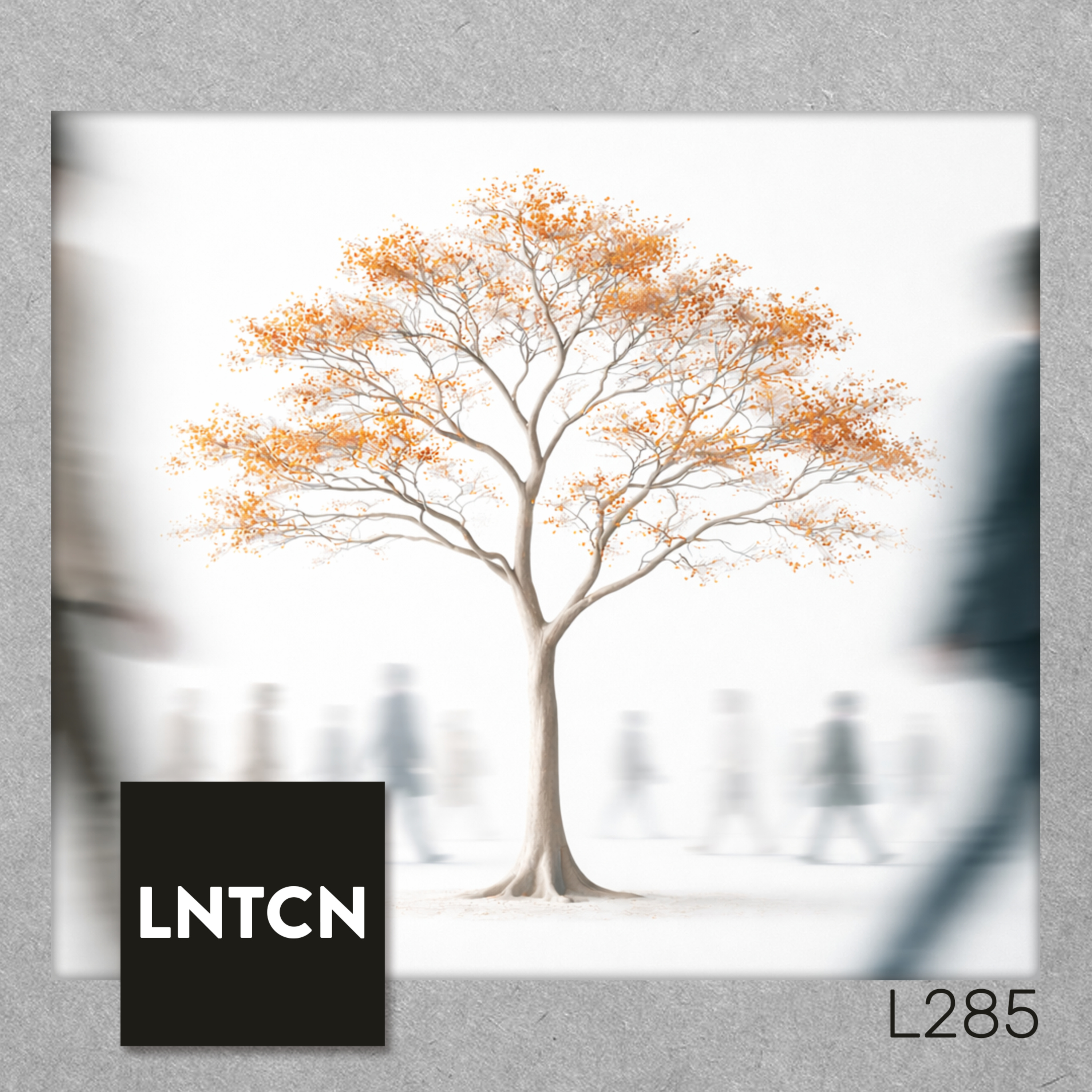 L285 - Economías Circulares Bitcoin y cómo armar una allá donde vivas, con Evelyn Lemus