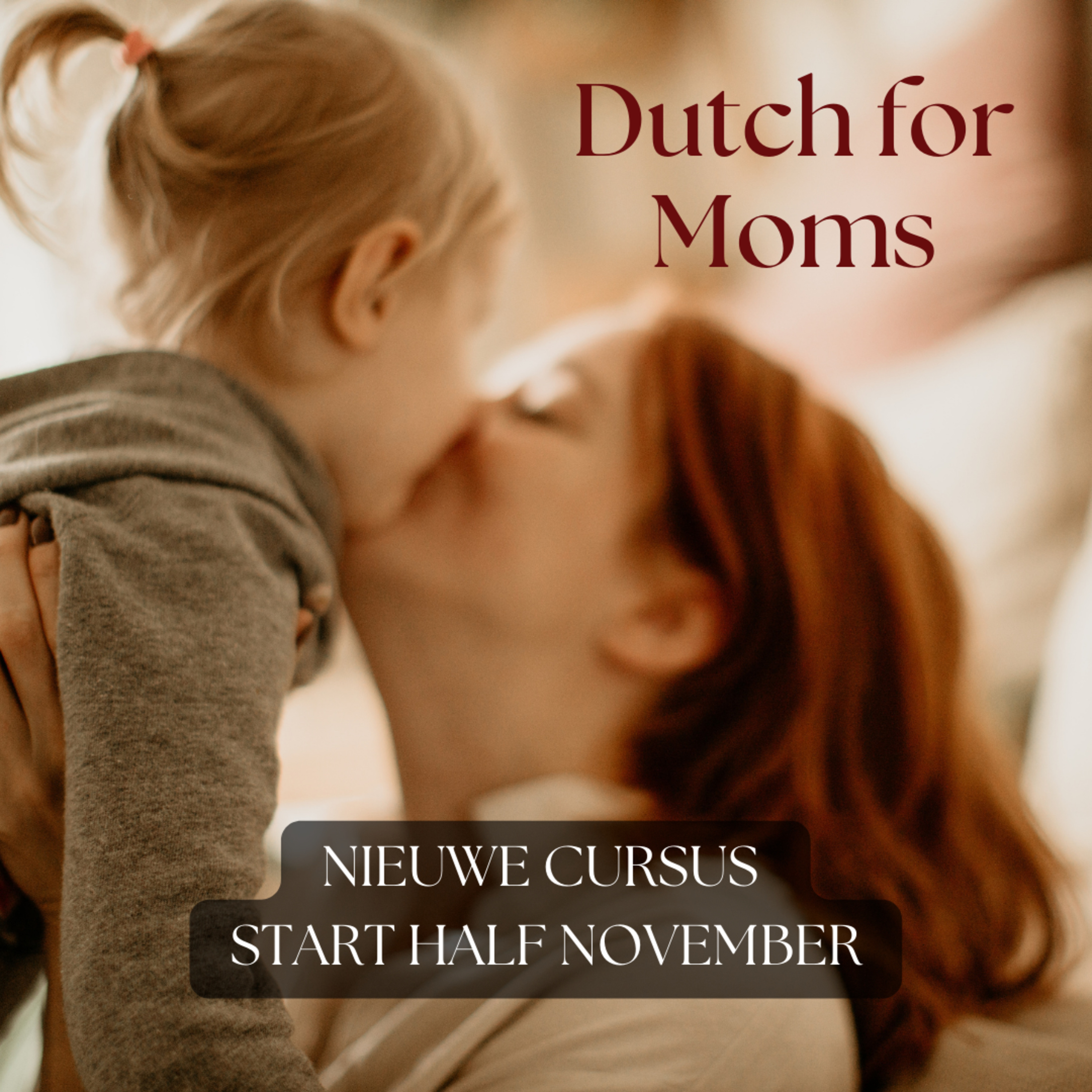 Dutch Speaking Academy - Speak Dutch with Confidence