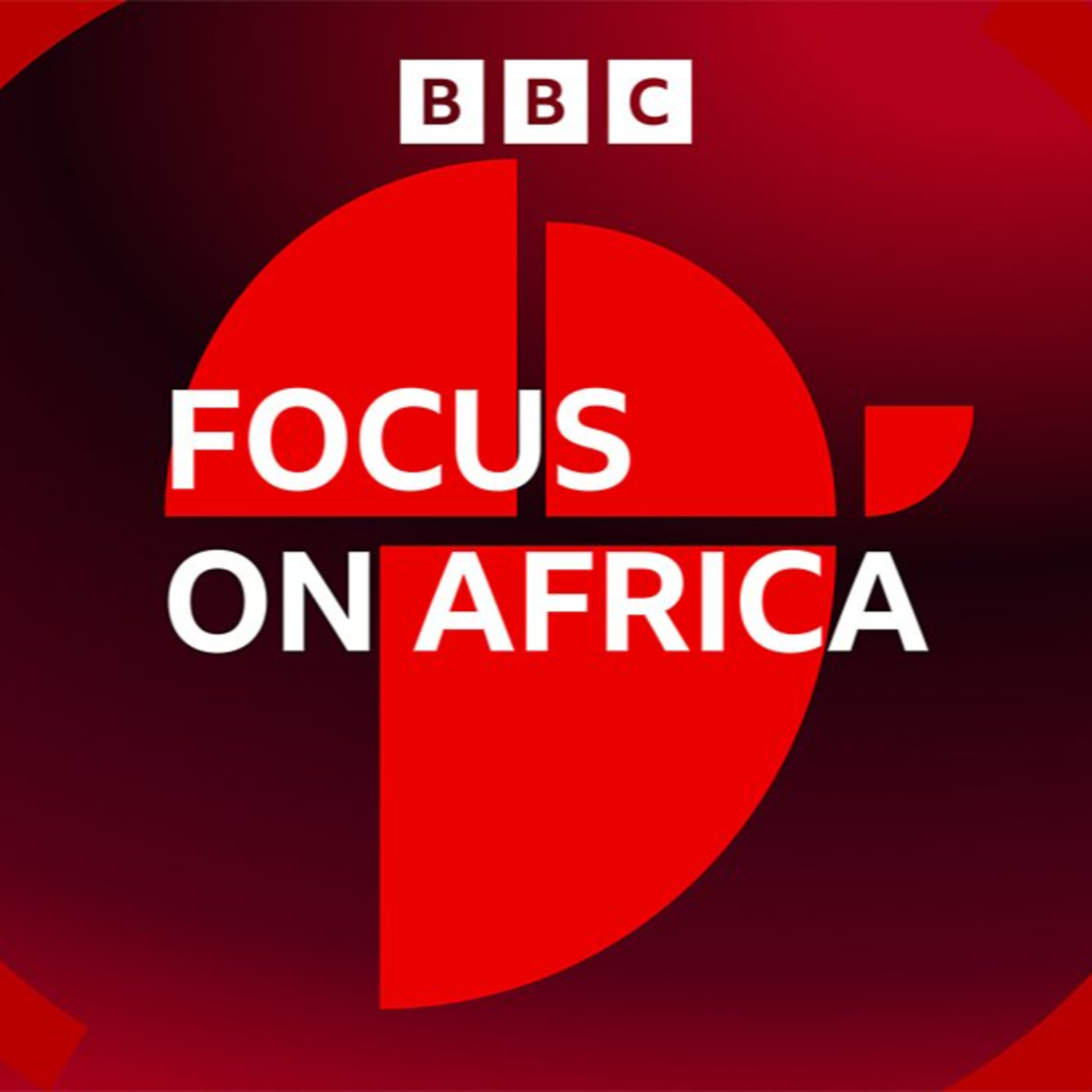 Episode 190 - WhatsApp Usernames, Privacy, Fraud & Digital Identity: An Interview with the BBC's Nkechi Onyinyechi Ogbonna on the Focus on Africa Podcast episode artwork