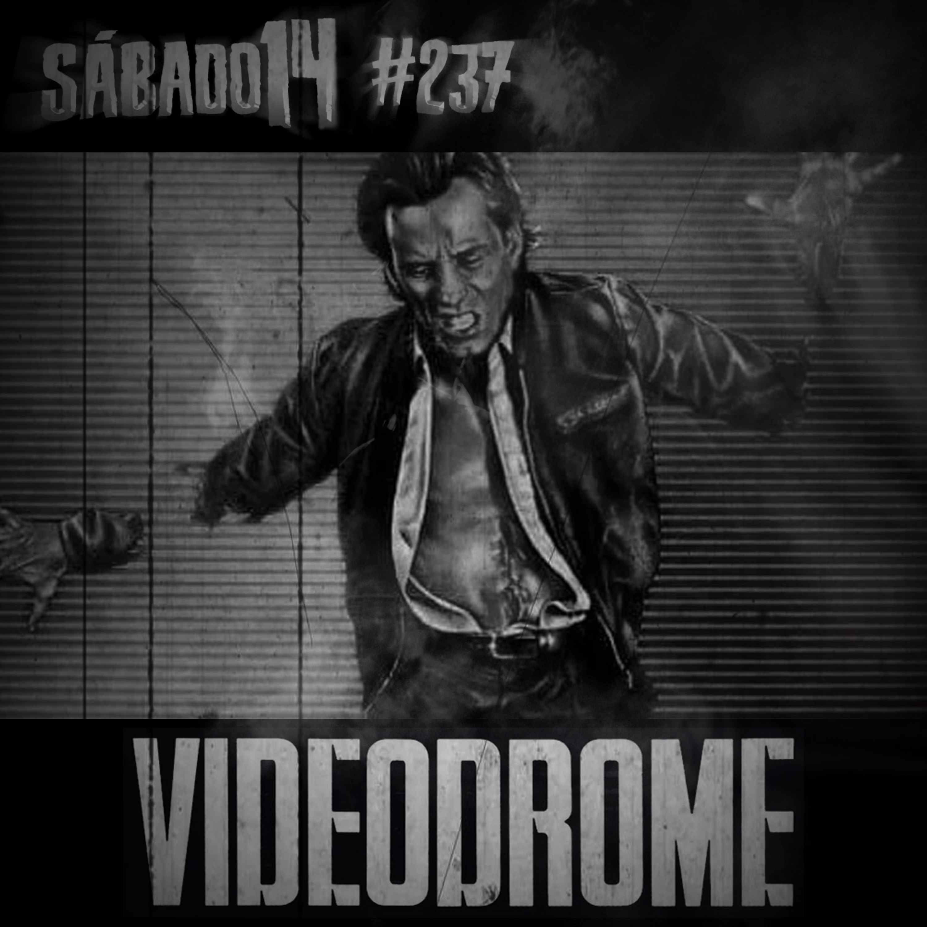 Sábado 14
