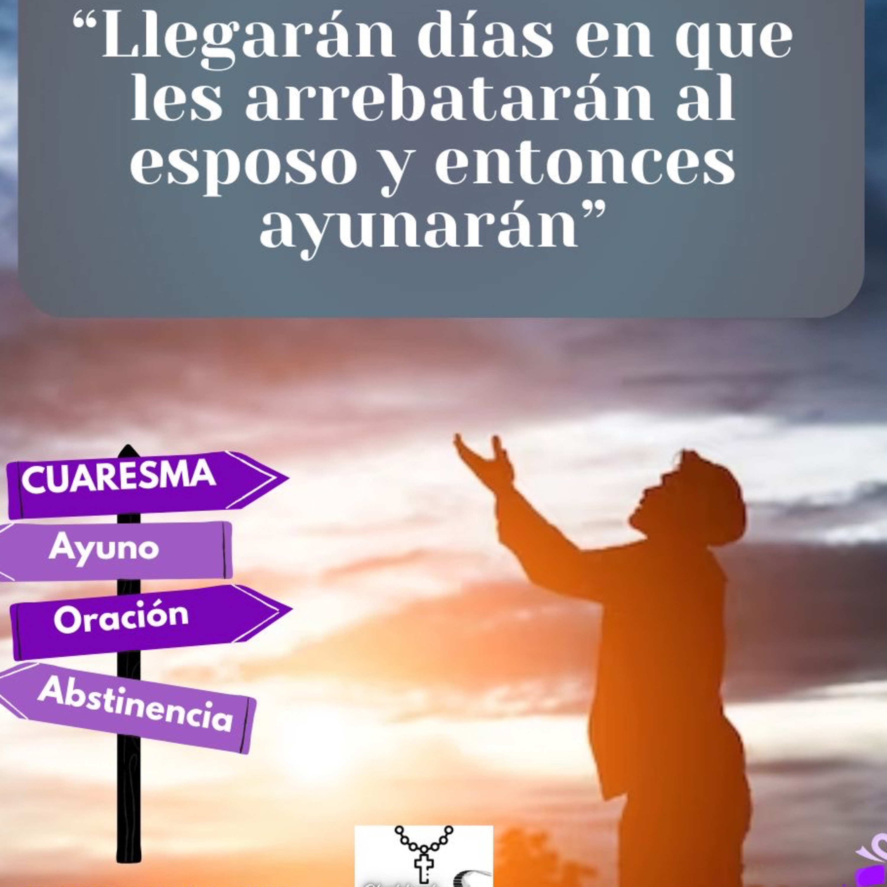 Portada de En red ES