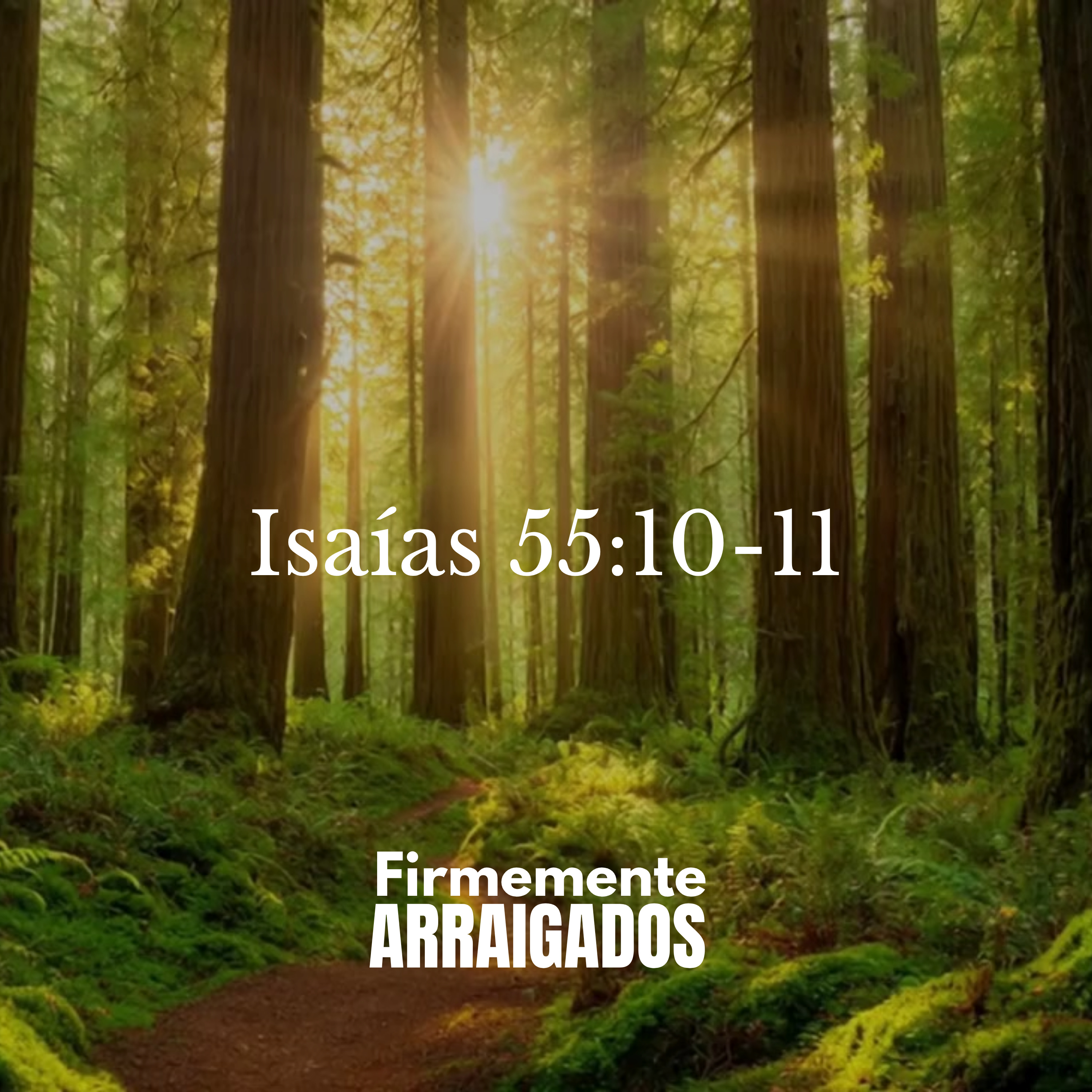 Isaías 55:10-11 - Devocional Firmemente Arraigados episode artwork