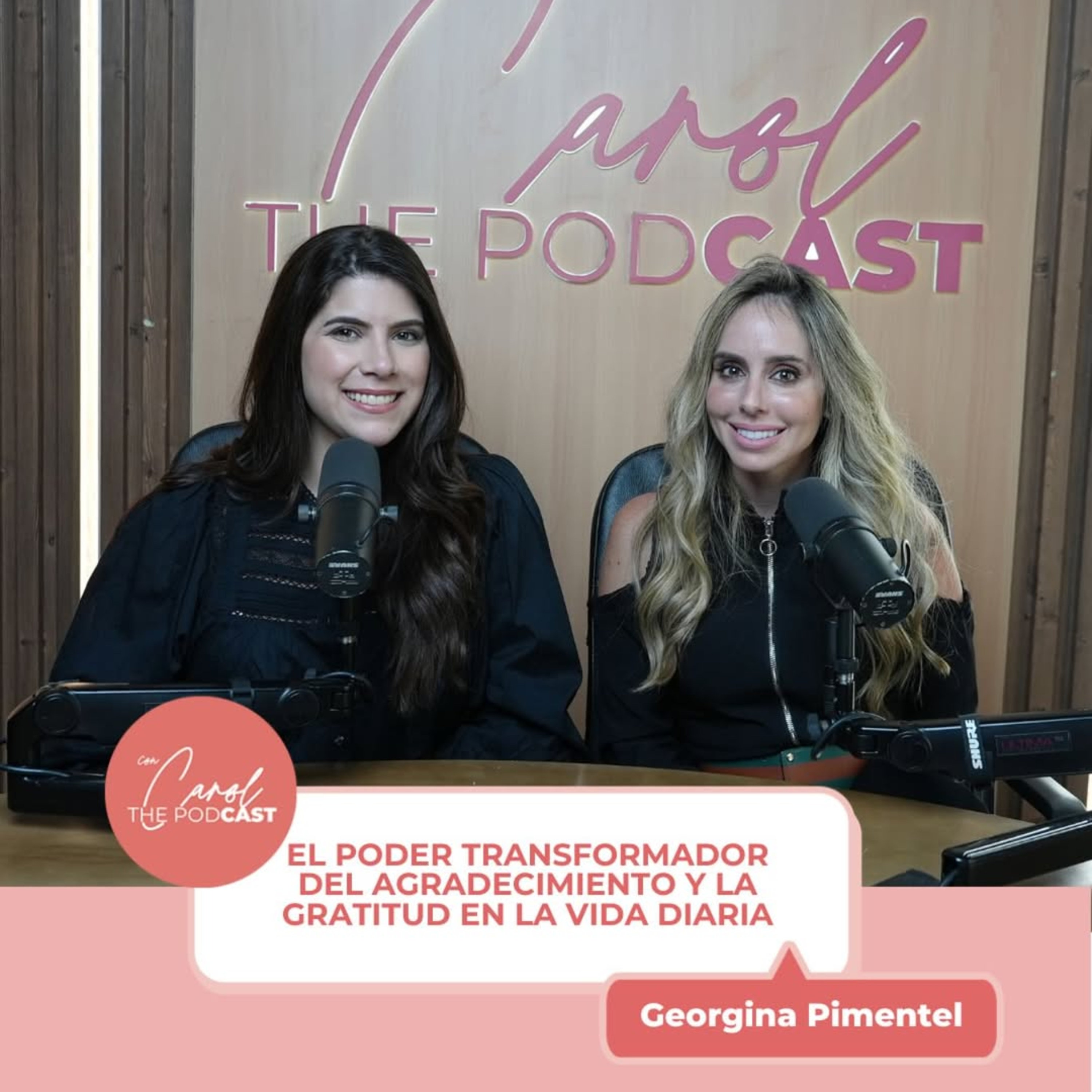 El poder transformador del agradecimiento y la gratitud en la vida diaria