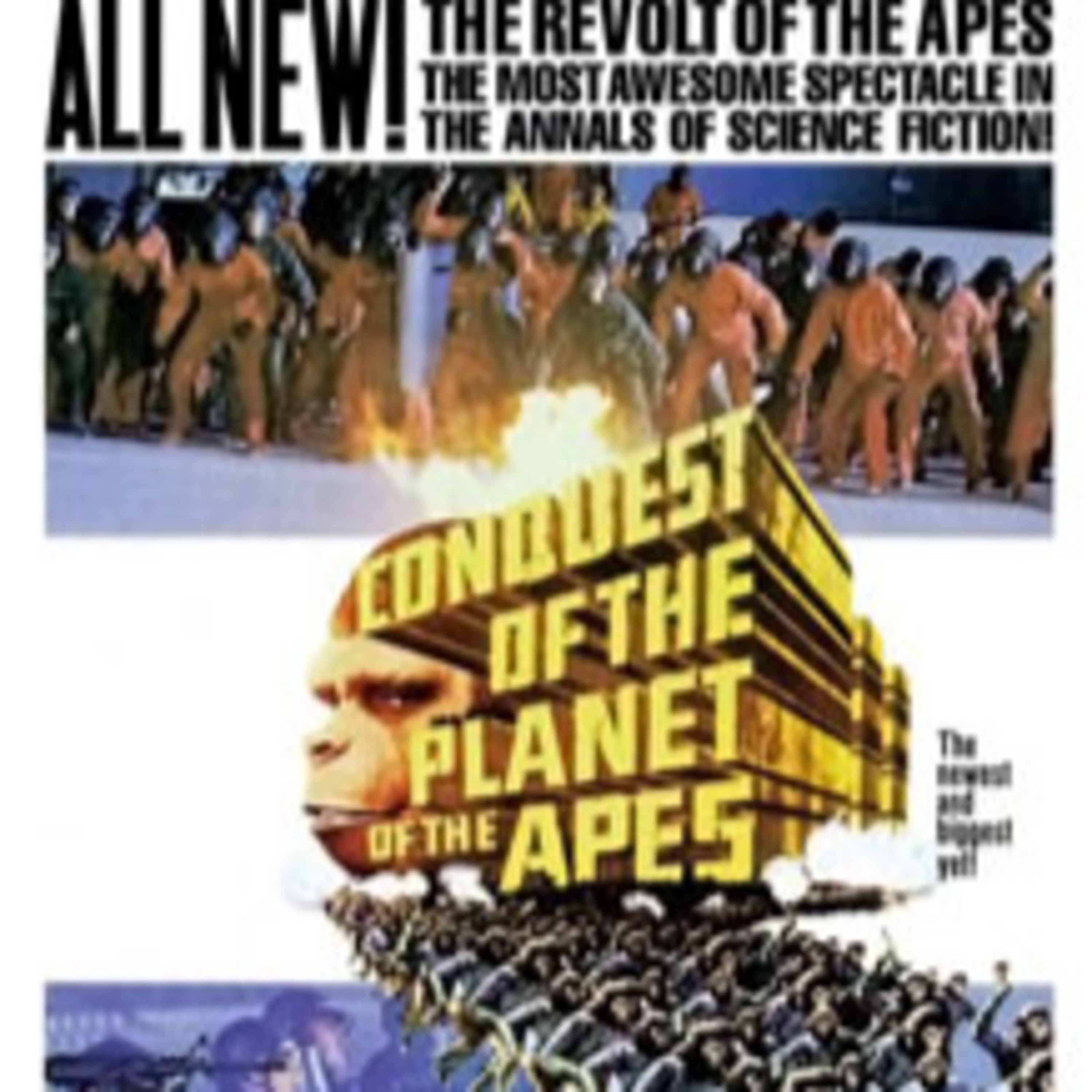 Tv/Movie Rewind
