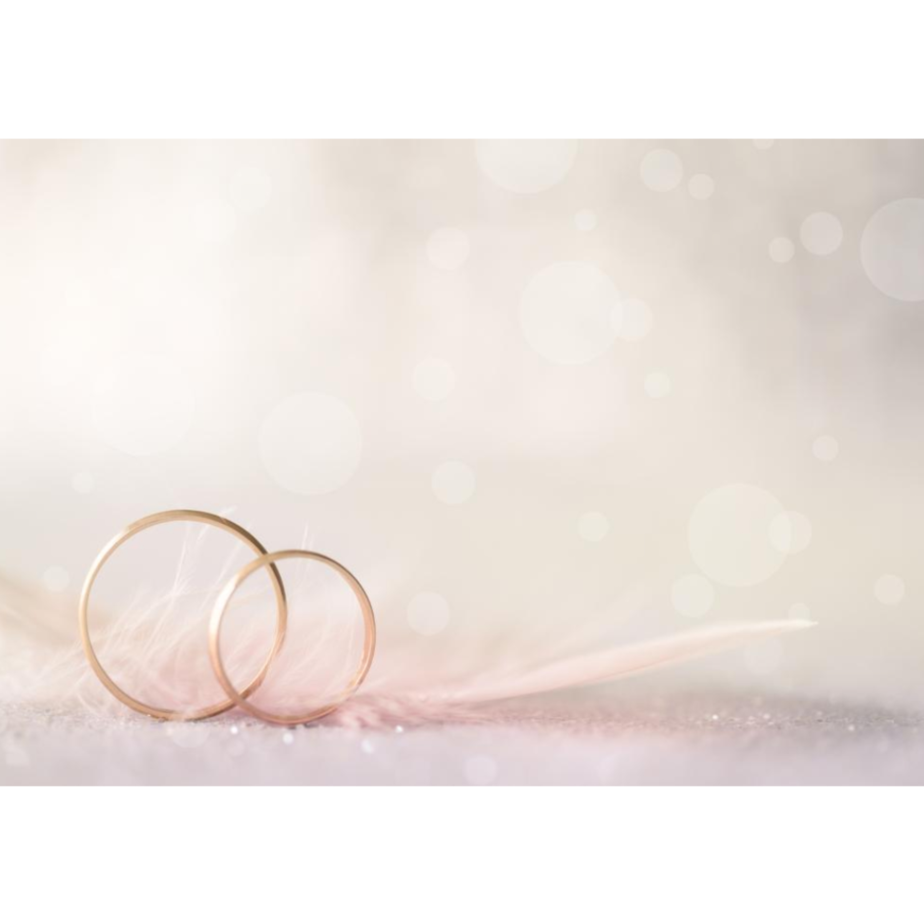Jesus the Bridegroom- English Sermon