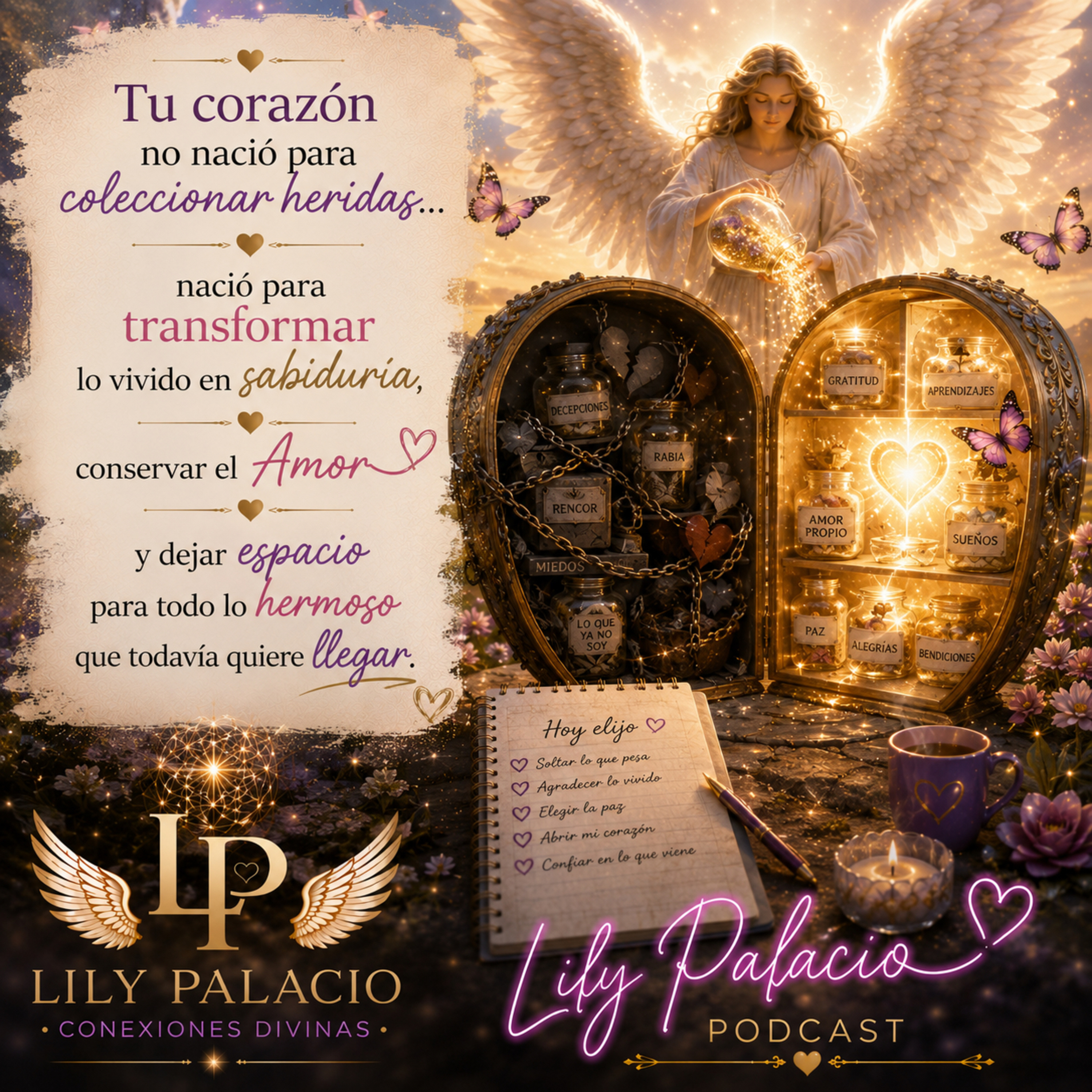 Tu corazón no es una bodega para guardar lo que duele, intención domingo 23 ago episode artwork