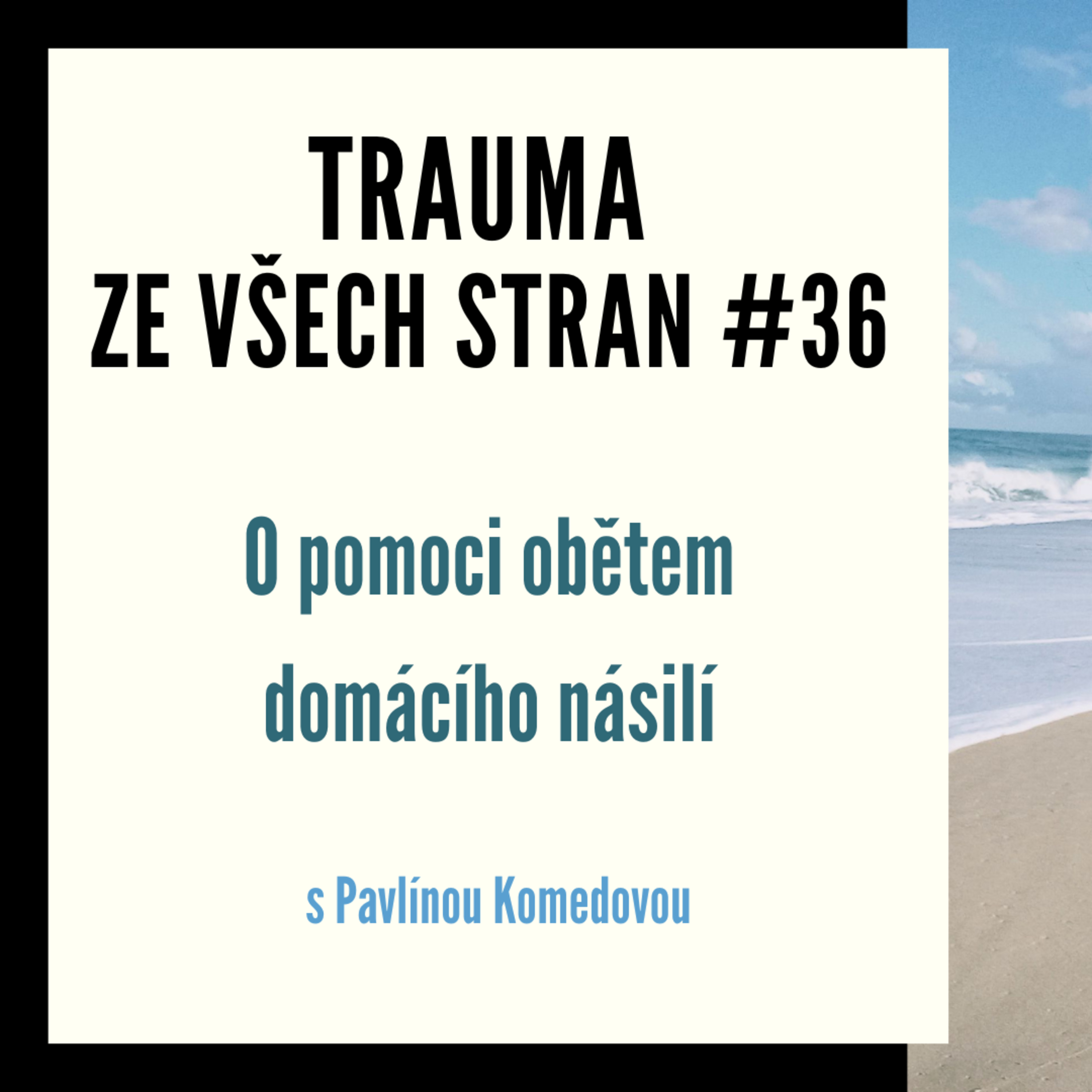 Trauma ze všech stran #36 - O pomoci obětem domácího násilí s Pavlínou Komedovou episode artwork