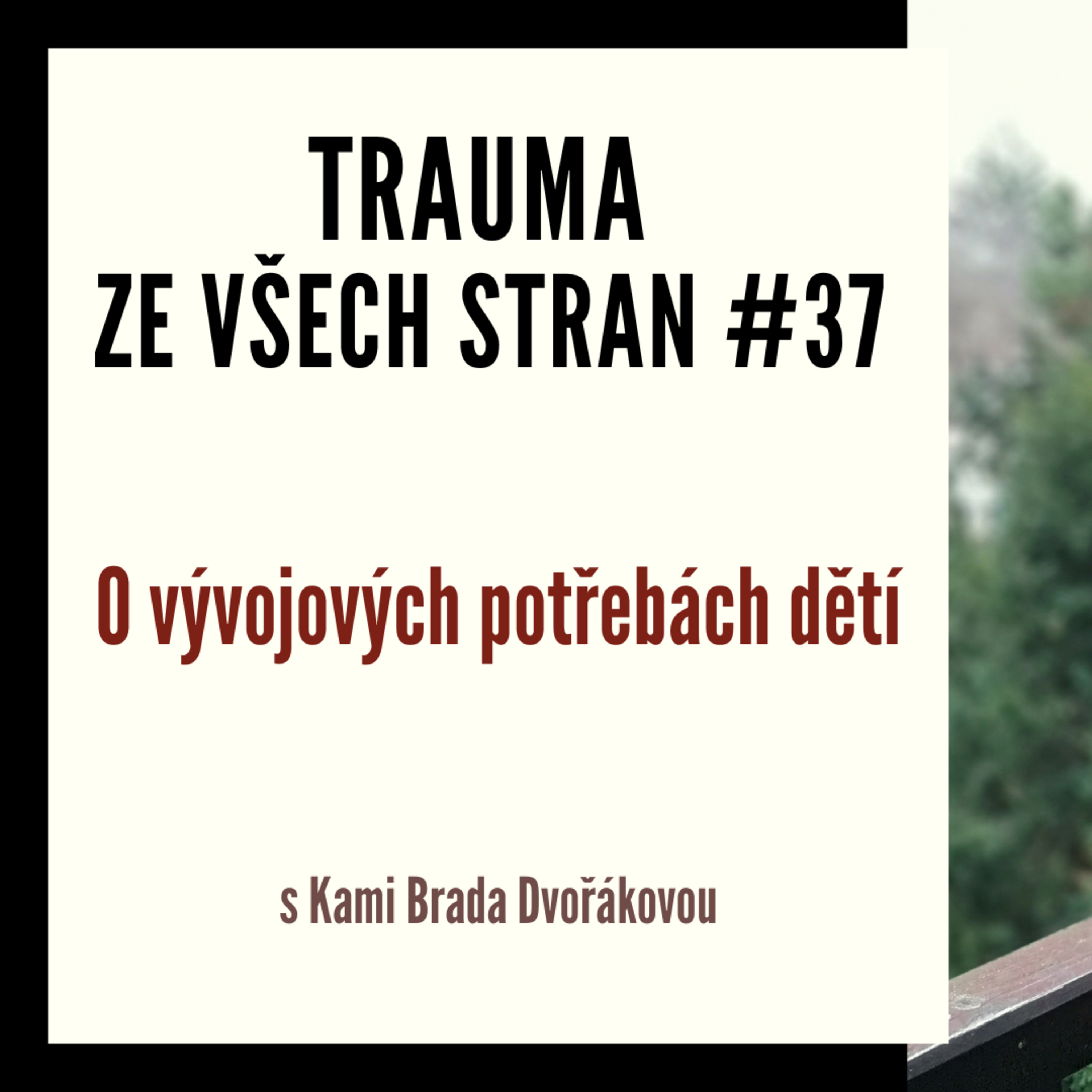 Trauma ze všech stran #37 - O vývojových potřebách dětí s Kami Brada Dvořákovou