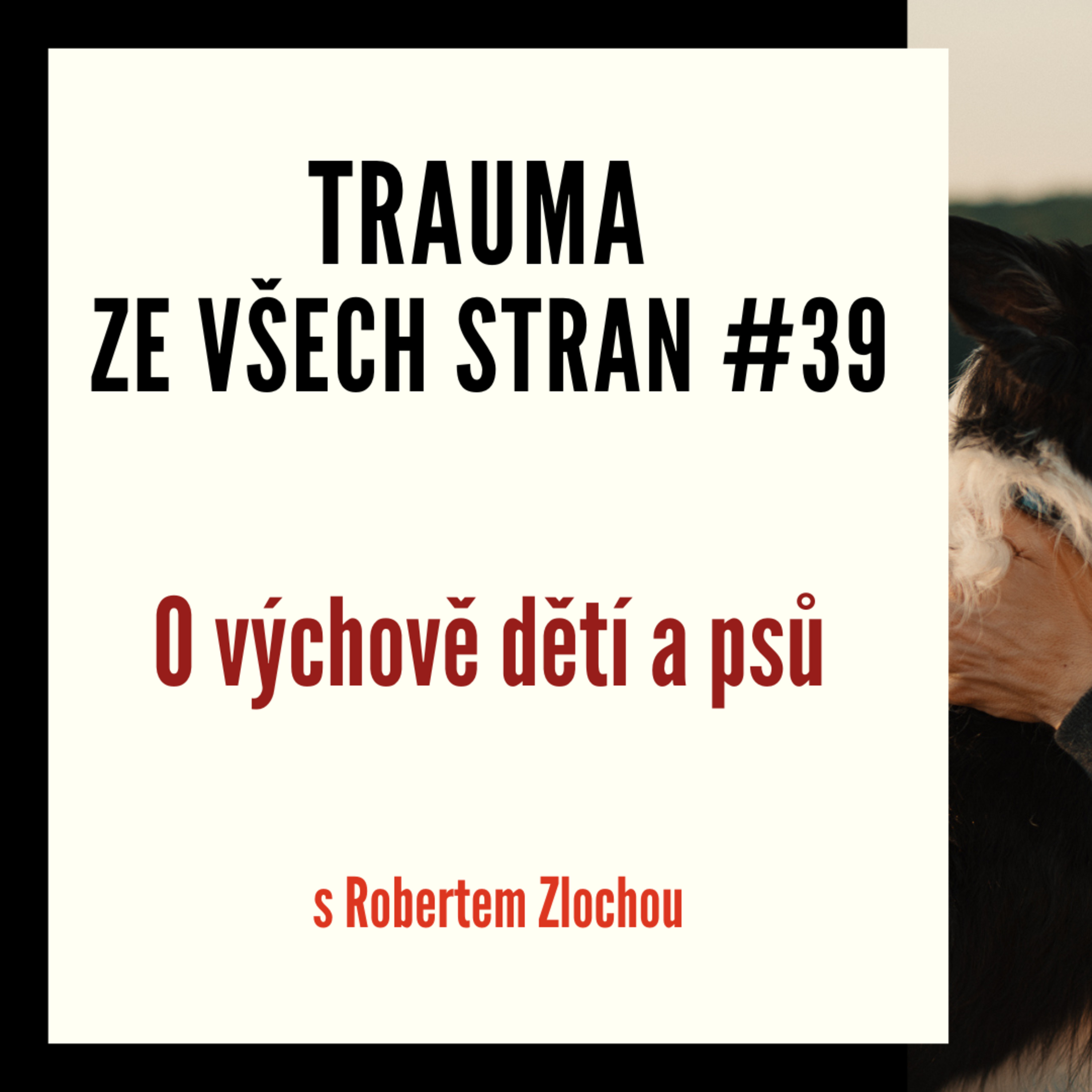 Trauma ze všech stran #39 - O výchově dětí a psů s Robertem Zlochou episode artwork