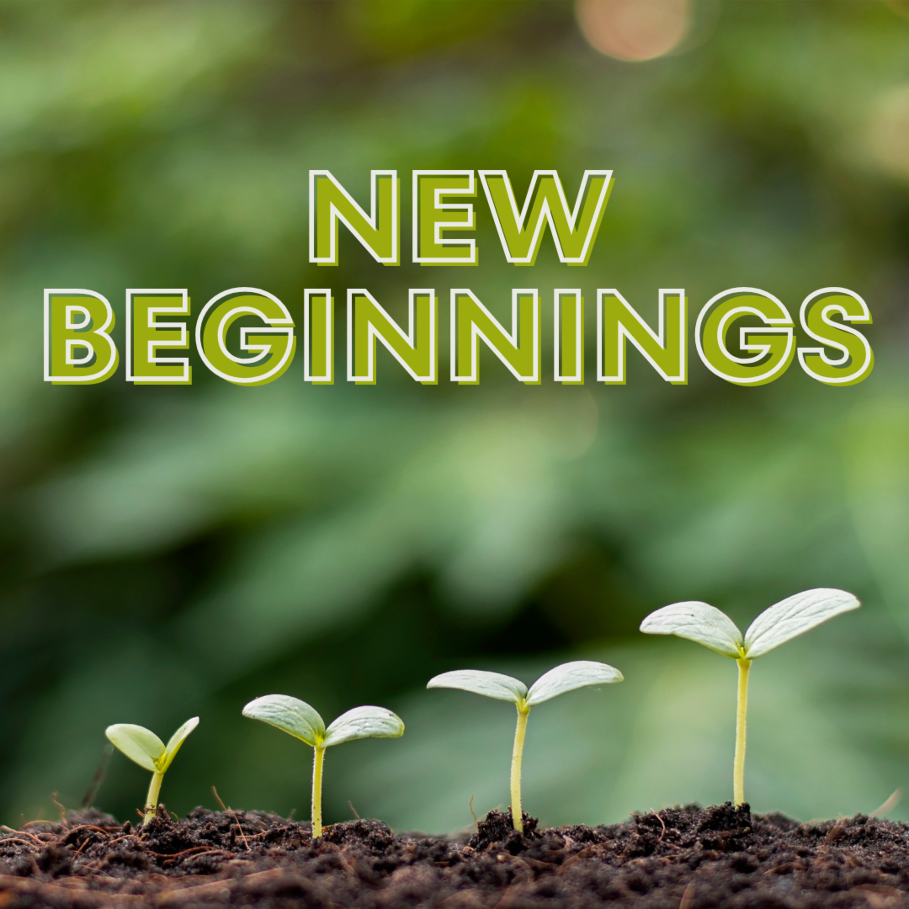 New Beginnings : Paul | Part 3 | Andre Nortje