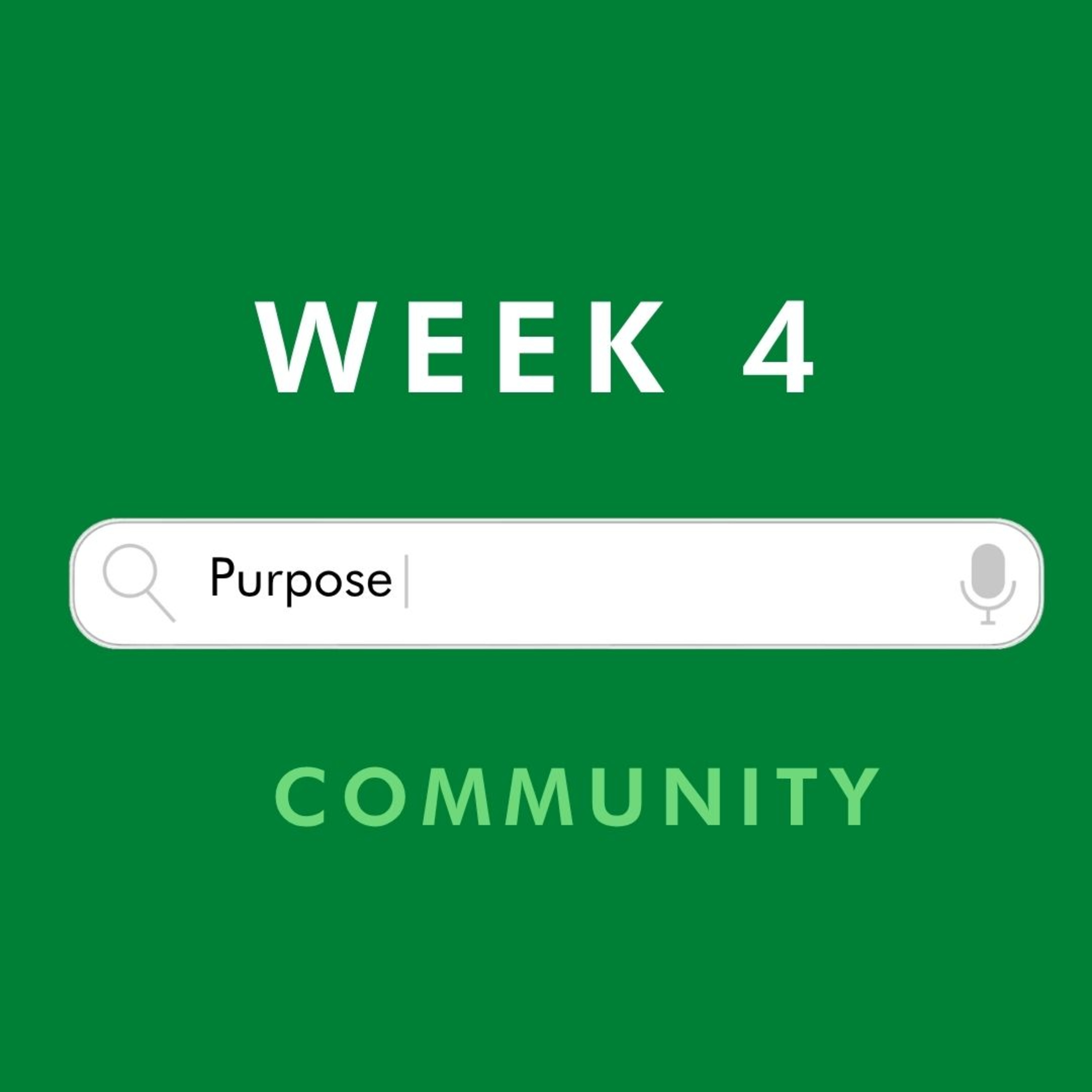 Purpose | Community | Week 4 | Ian Oliver episode artwork