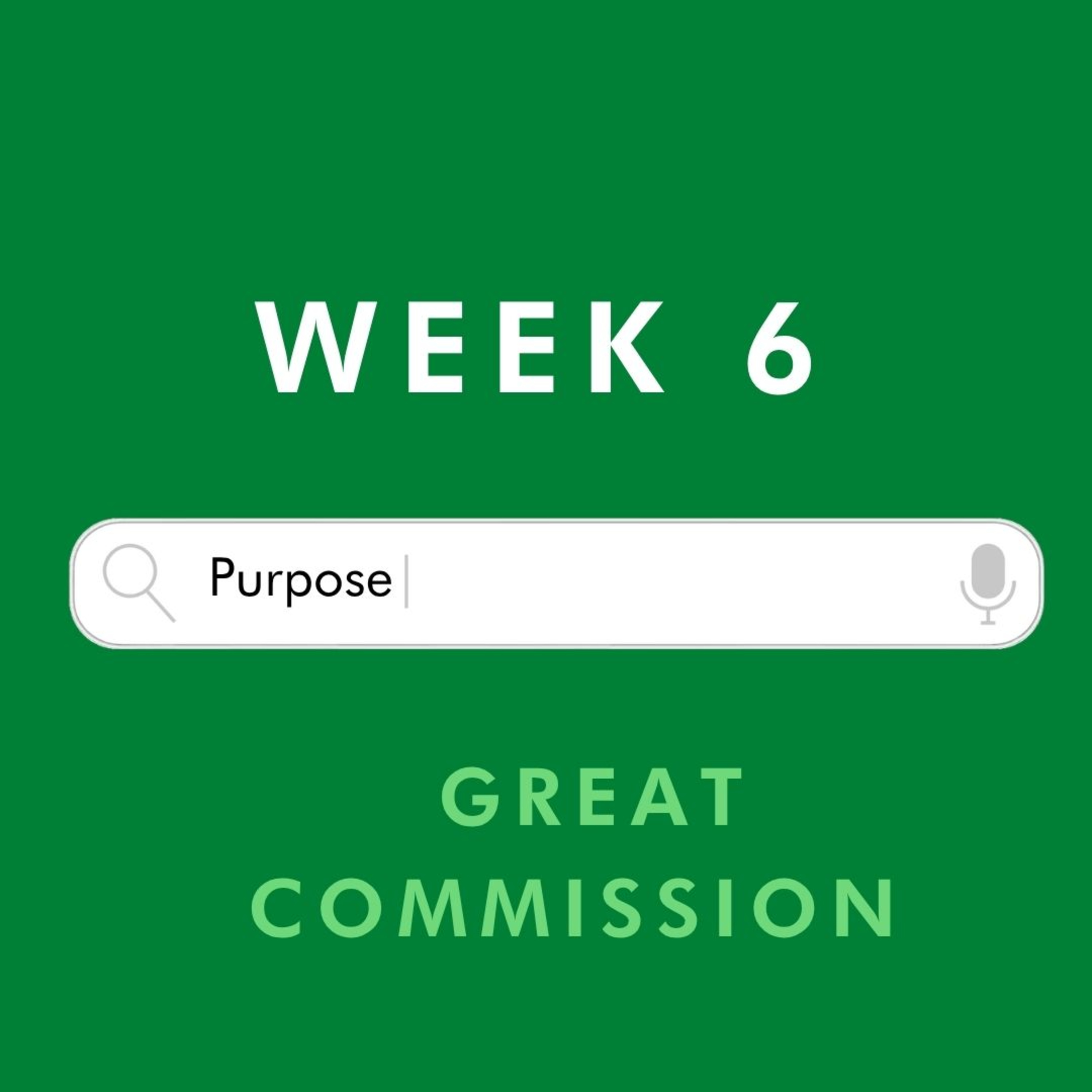Purpose | Week 6 | Great Commission | Andre Notjie episode artwork