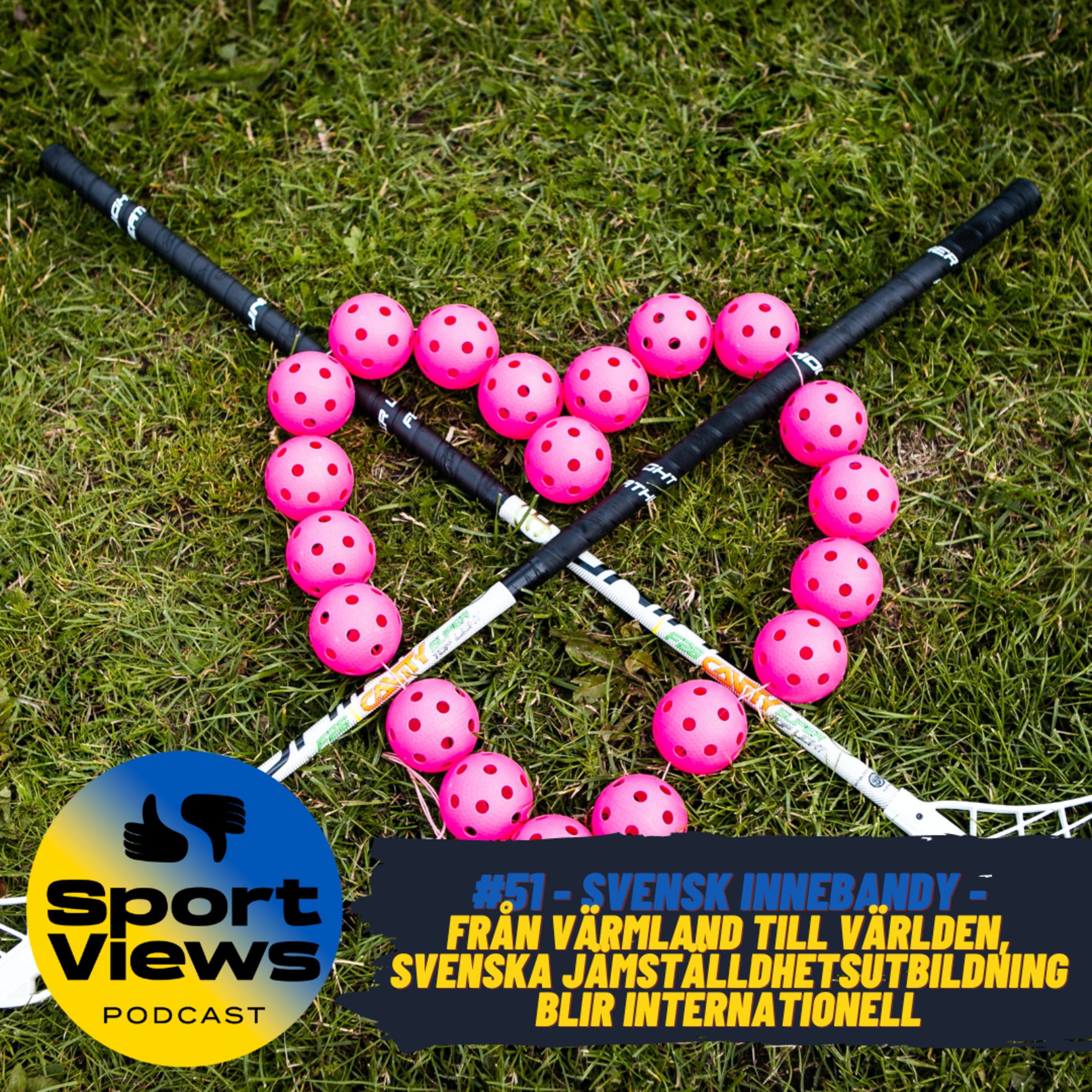 #51 - Svensk innebandy - Från Värmland till världen, svenska jämställdhetsutbildning blir internationell episode artwork