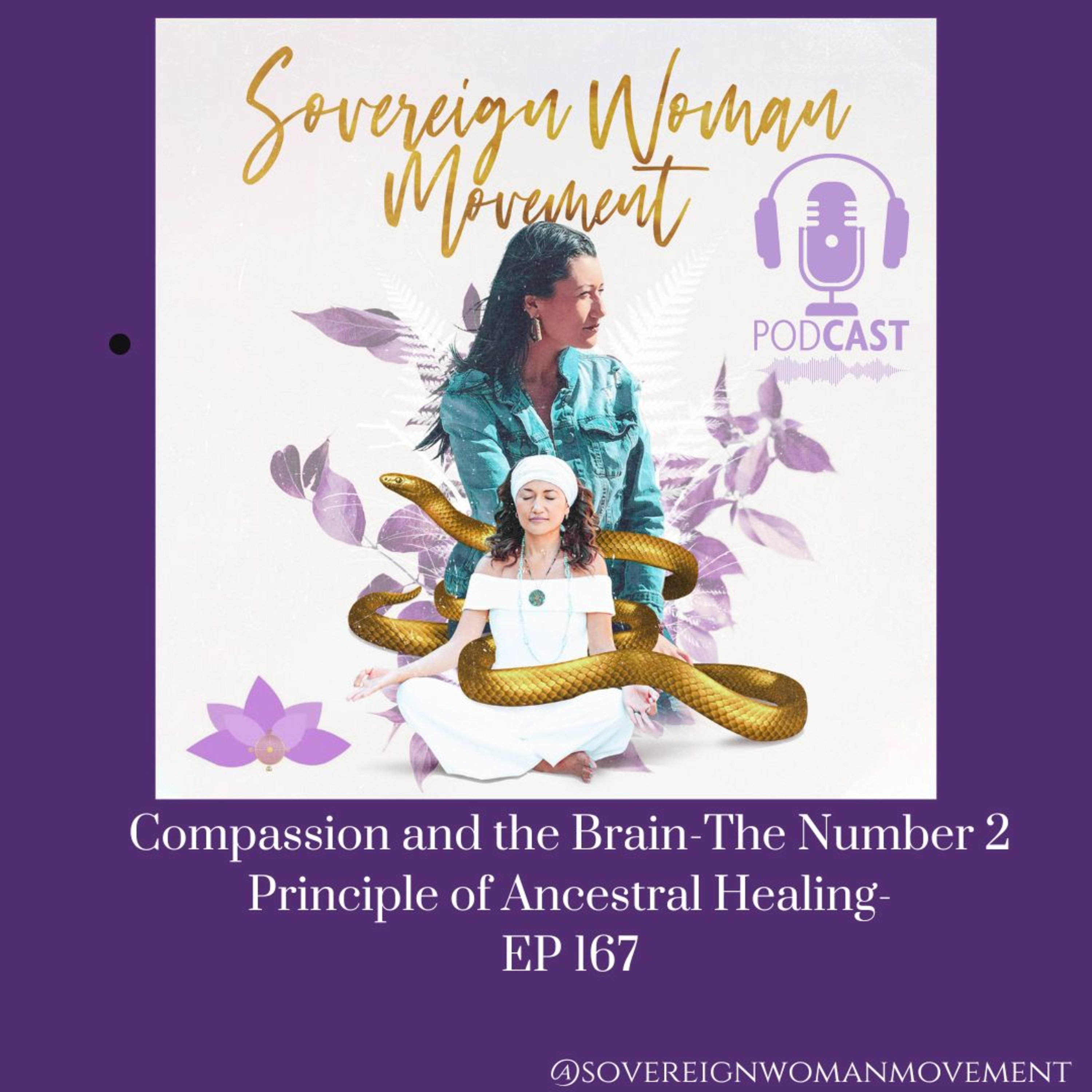 Compassion and the Brain-The Number 2 Principle of Ancestral Healing ep 167 episode artwork
