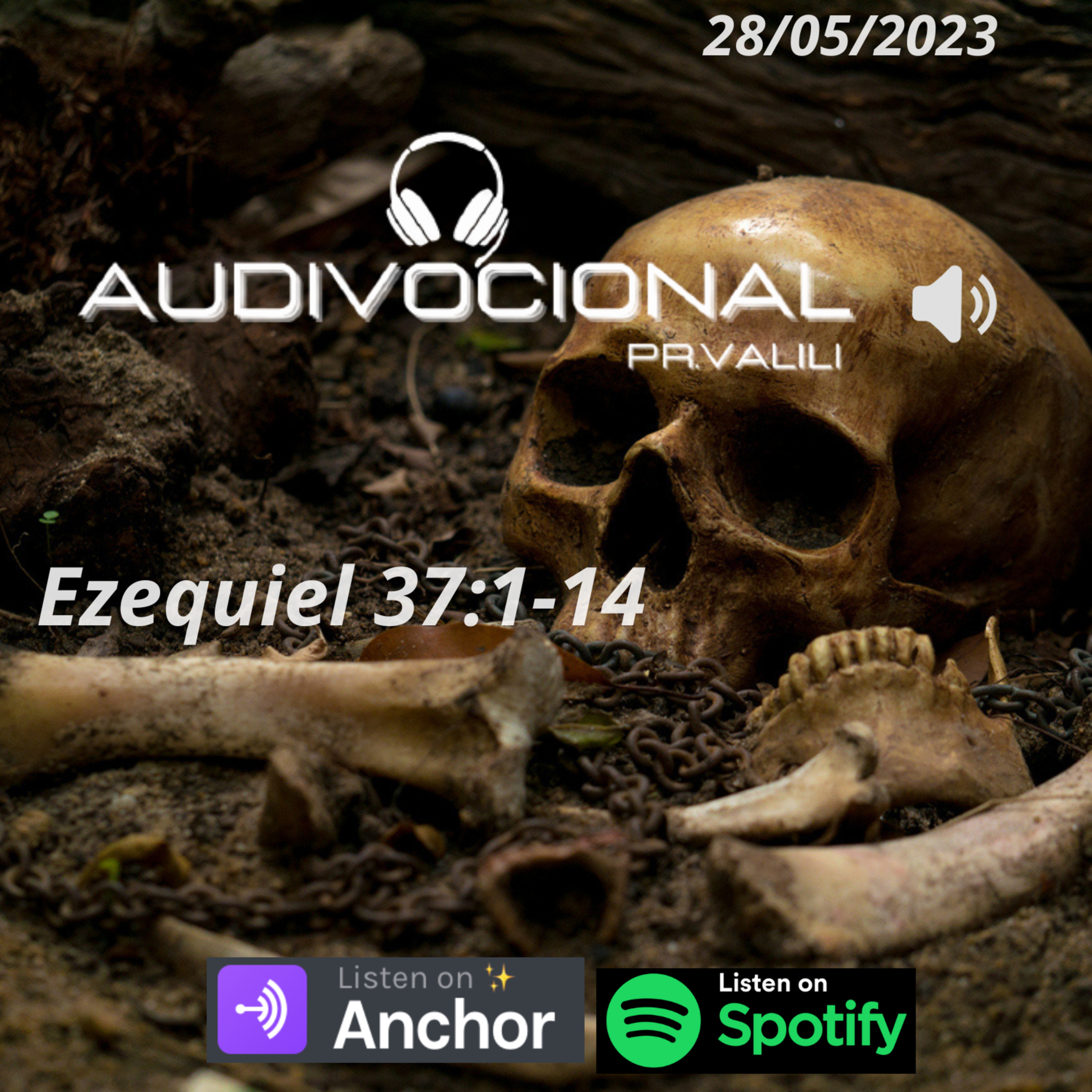 SERMÃO EXPOSITIVO episode artwork