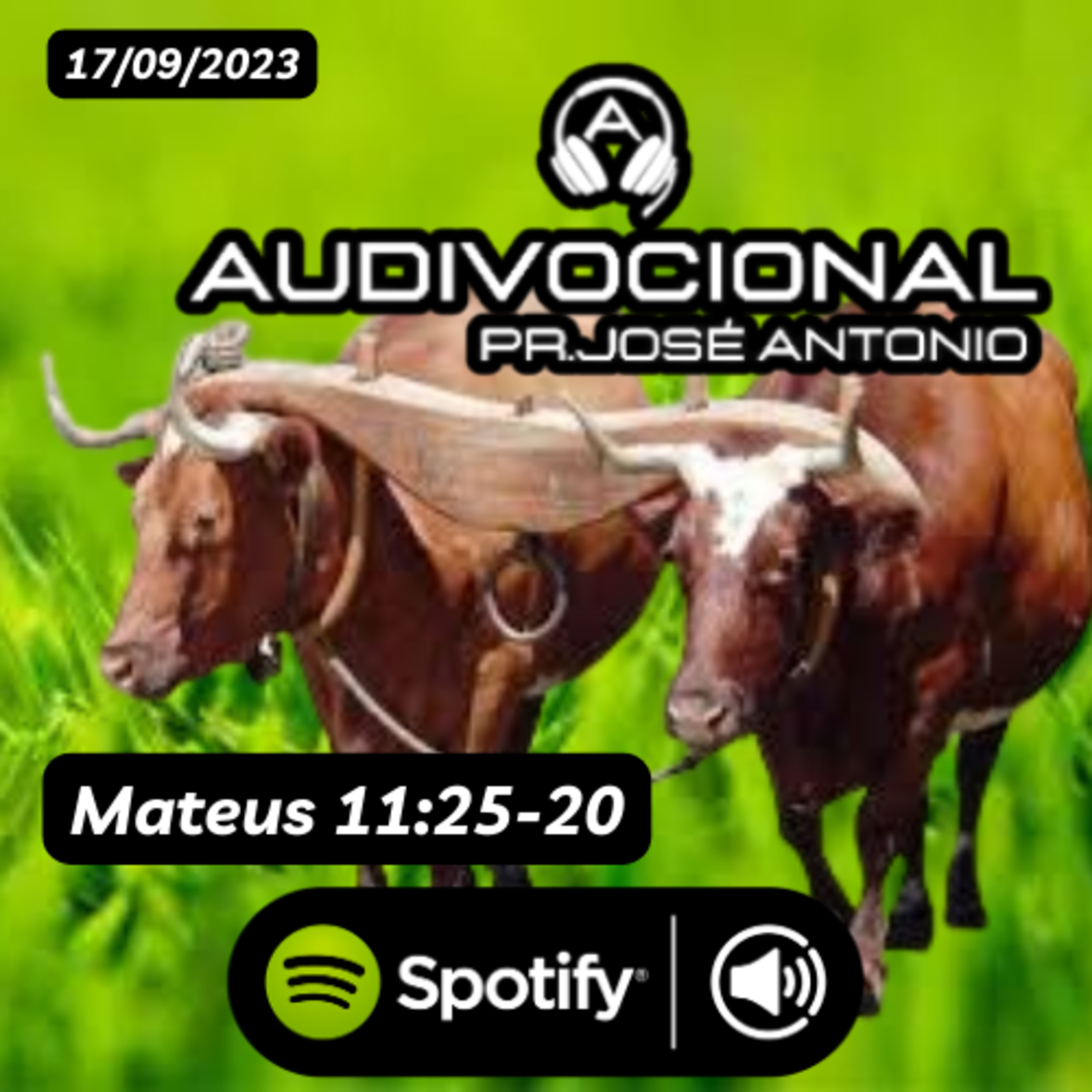SERMÃO EXPOSITIVO episode artwork