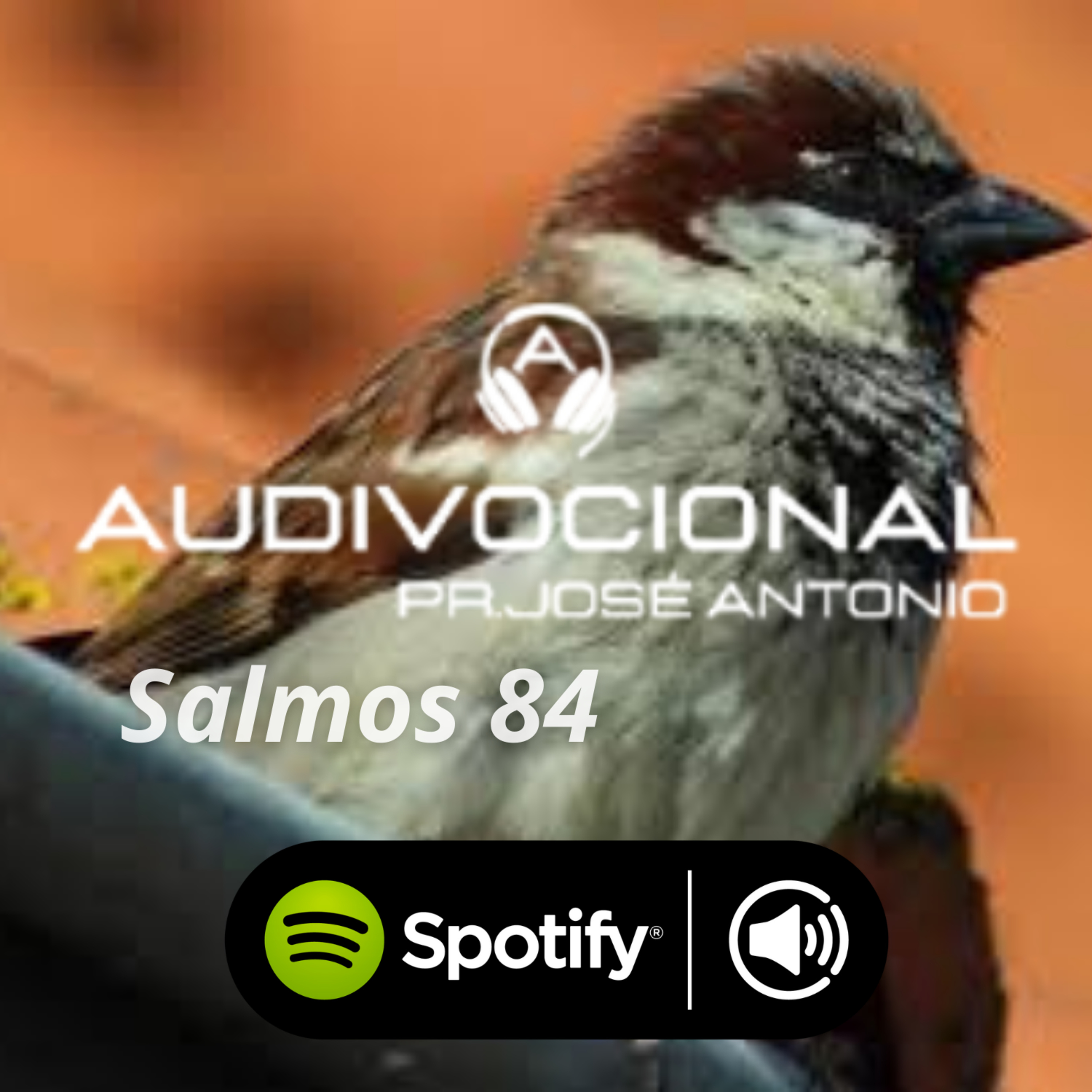 SERMÃO EXPOSITIVO episode artwork