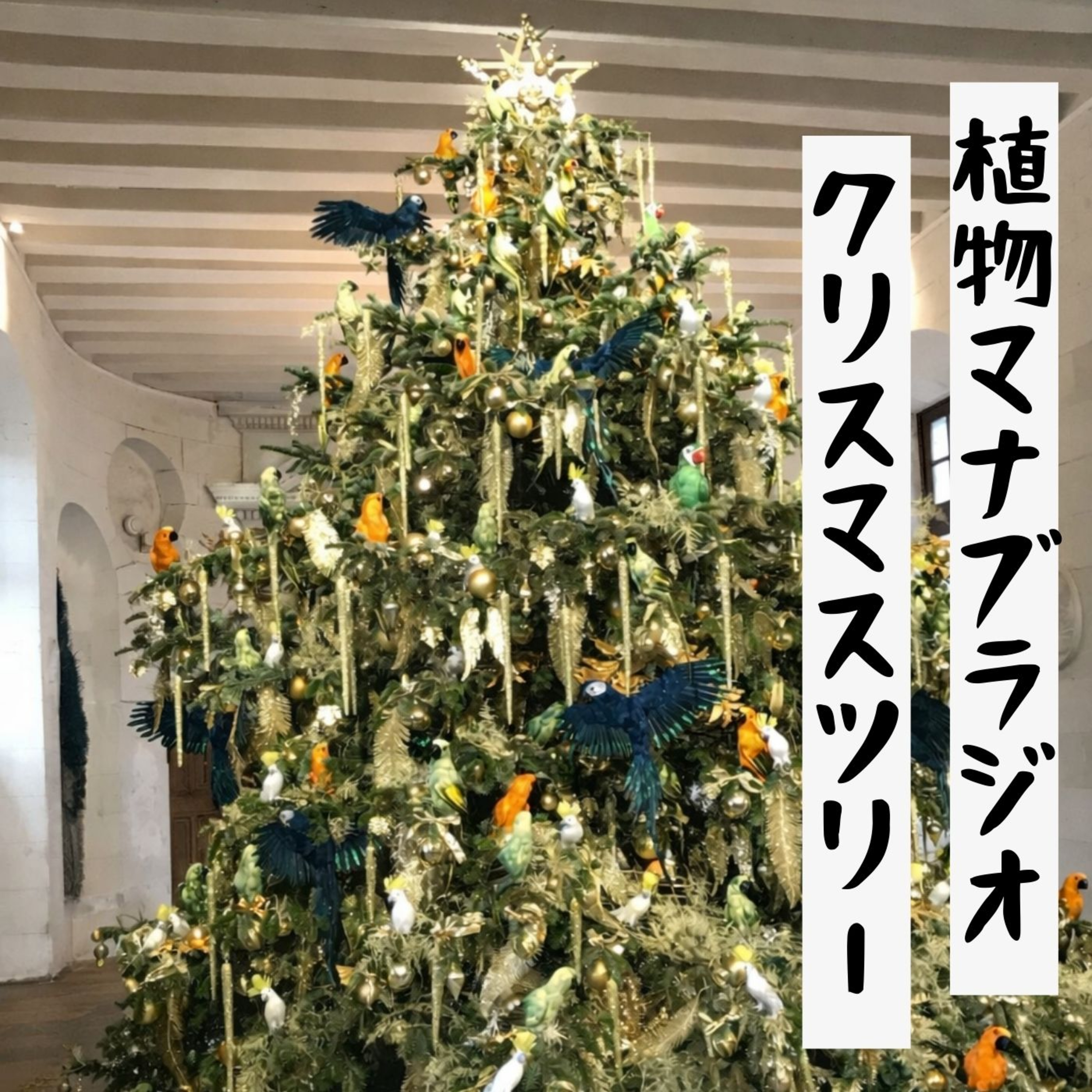 #39 クリスマスってことでツリーの話